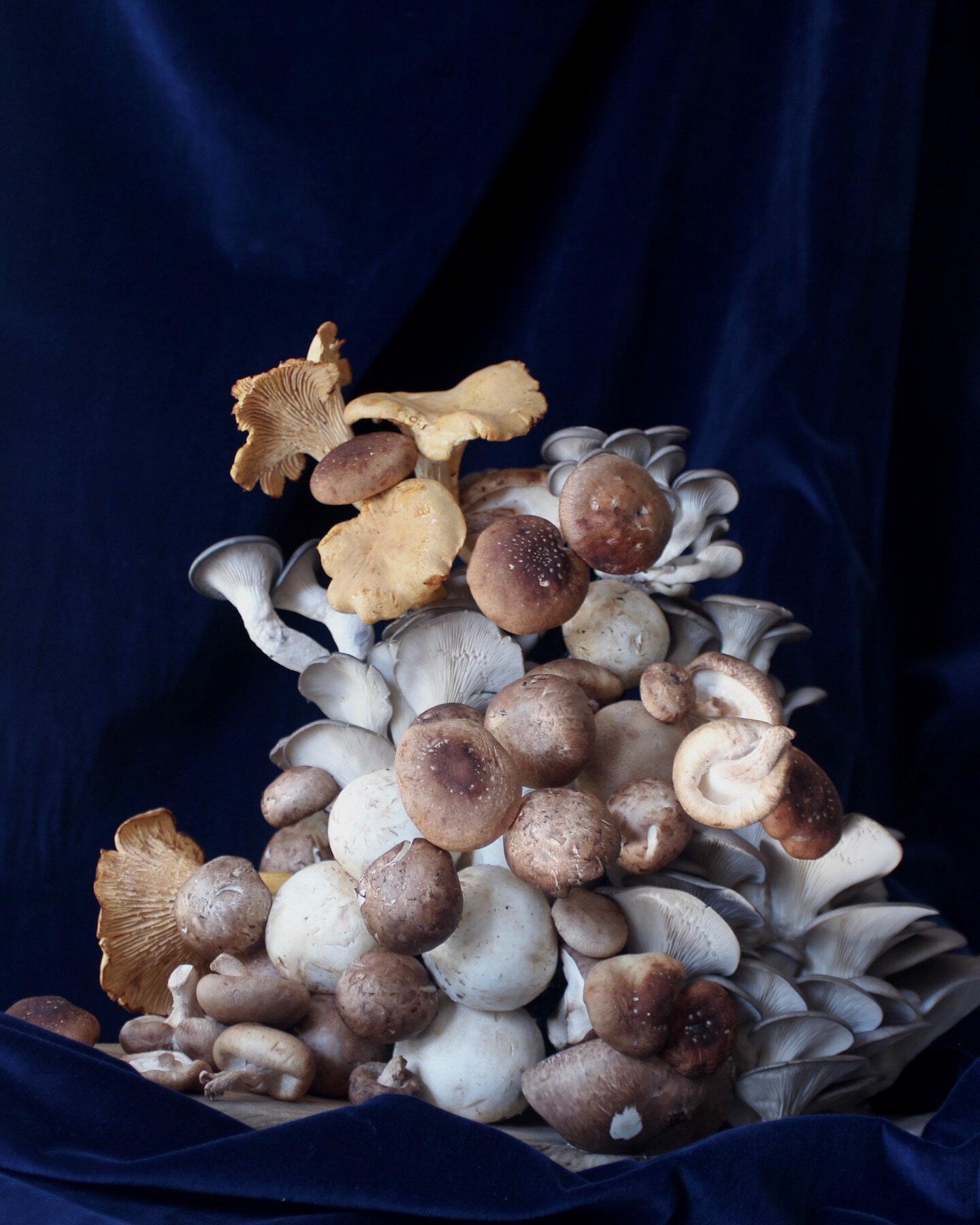 The flowers are asleep for the season but I&rsquo;d argue that mushroom arrangements are just as much fun to make. These are a special order item and each one is wildly different, mushrooms and veggies used are always organic and remain untreated and