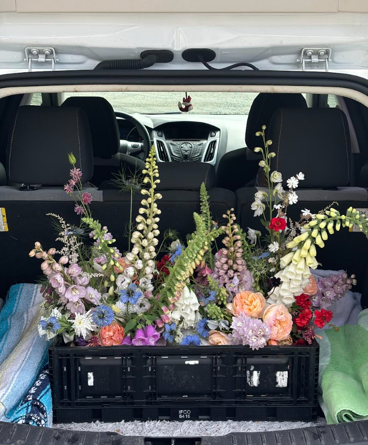 June 16th flowers.png