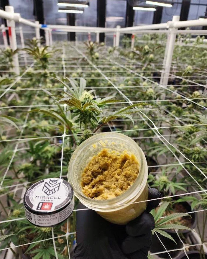 Miracle Greens Dispensary