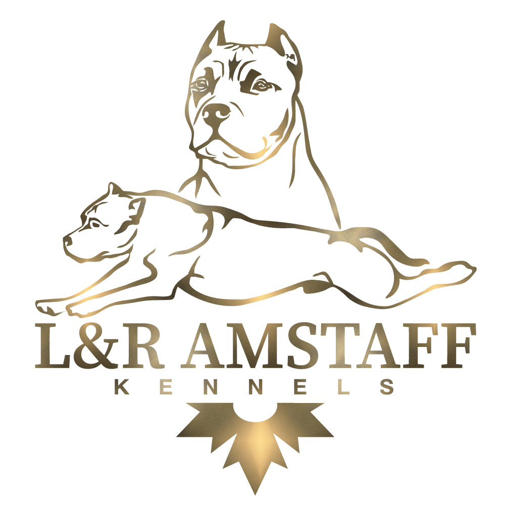 LNR AmStaff Kennels