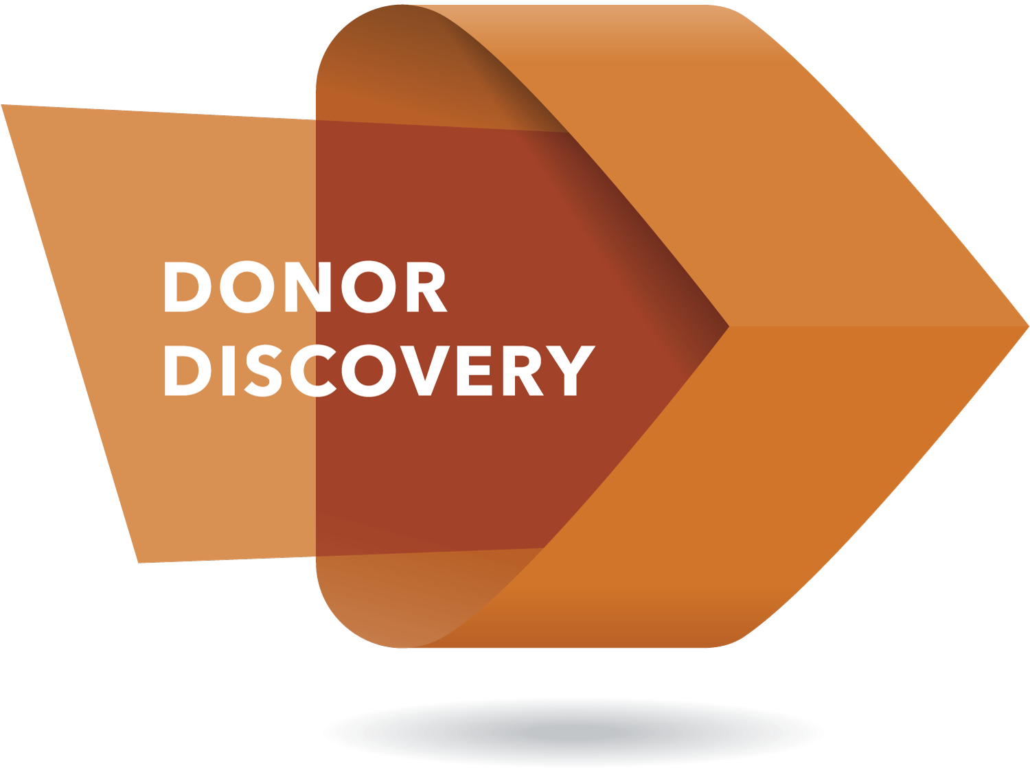 Through the use of TAG’s DISCOVERxai service our team is able to provide actionable information on your prospective major, annual, and legacy donors.