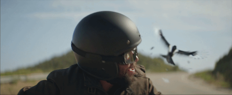 Progressive: Good Days