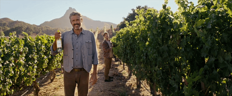 Cupcake: Serious Wine, Unserious Name