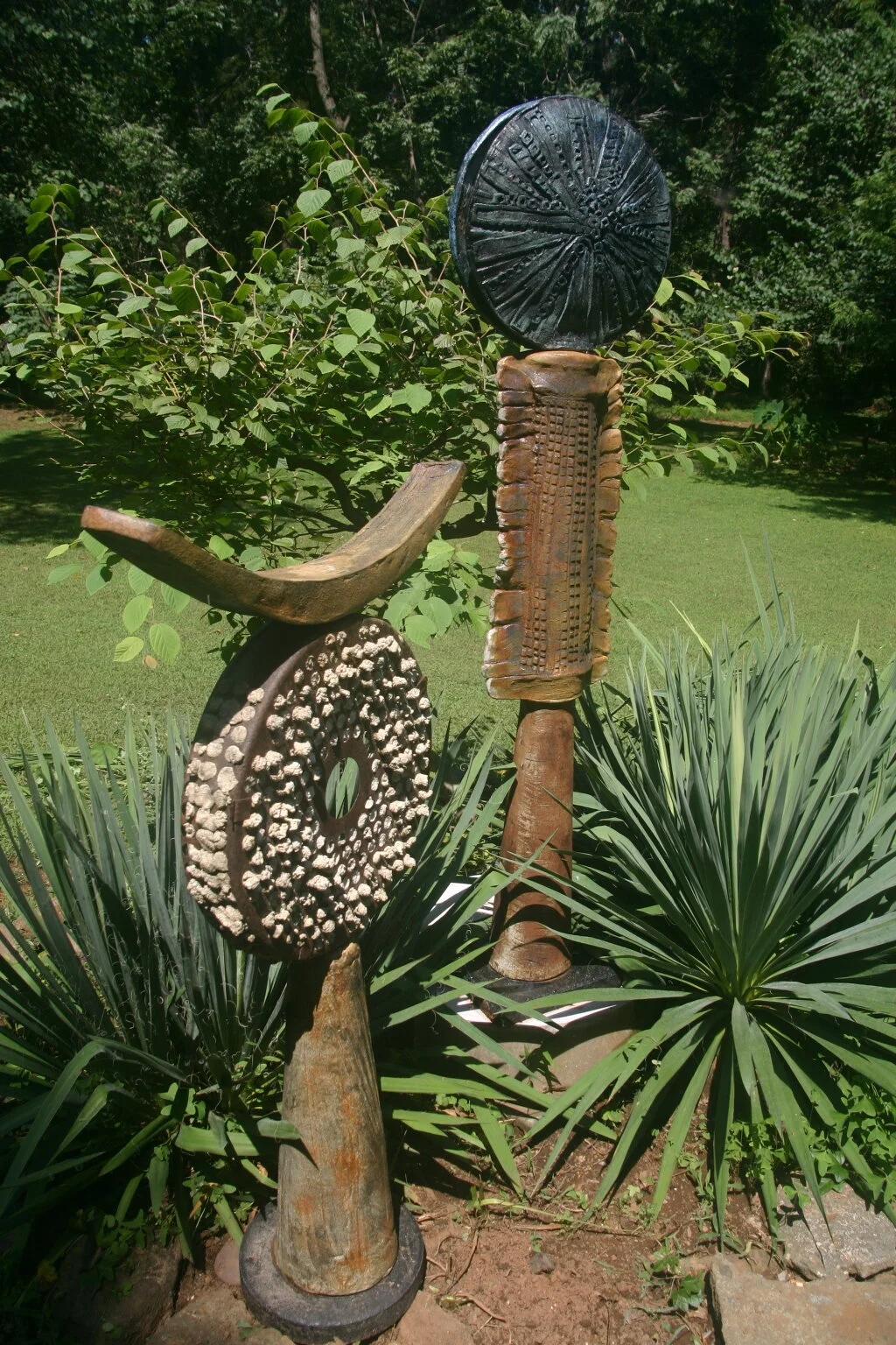 Two Forms with yucca