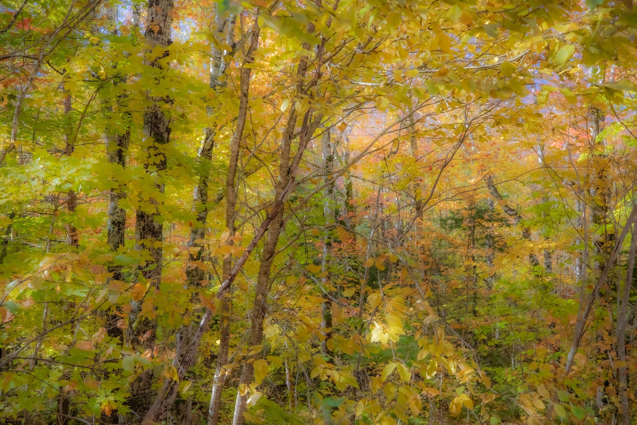 0L3A7899-HDR.jpg