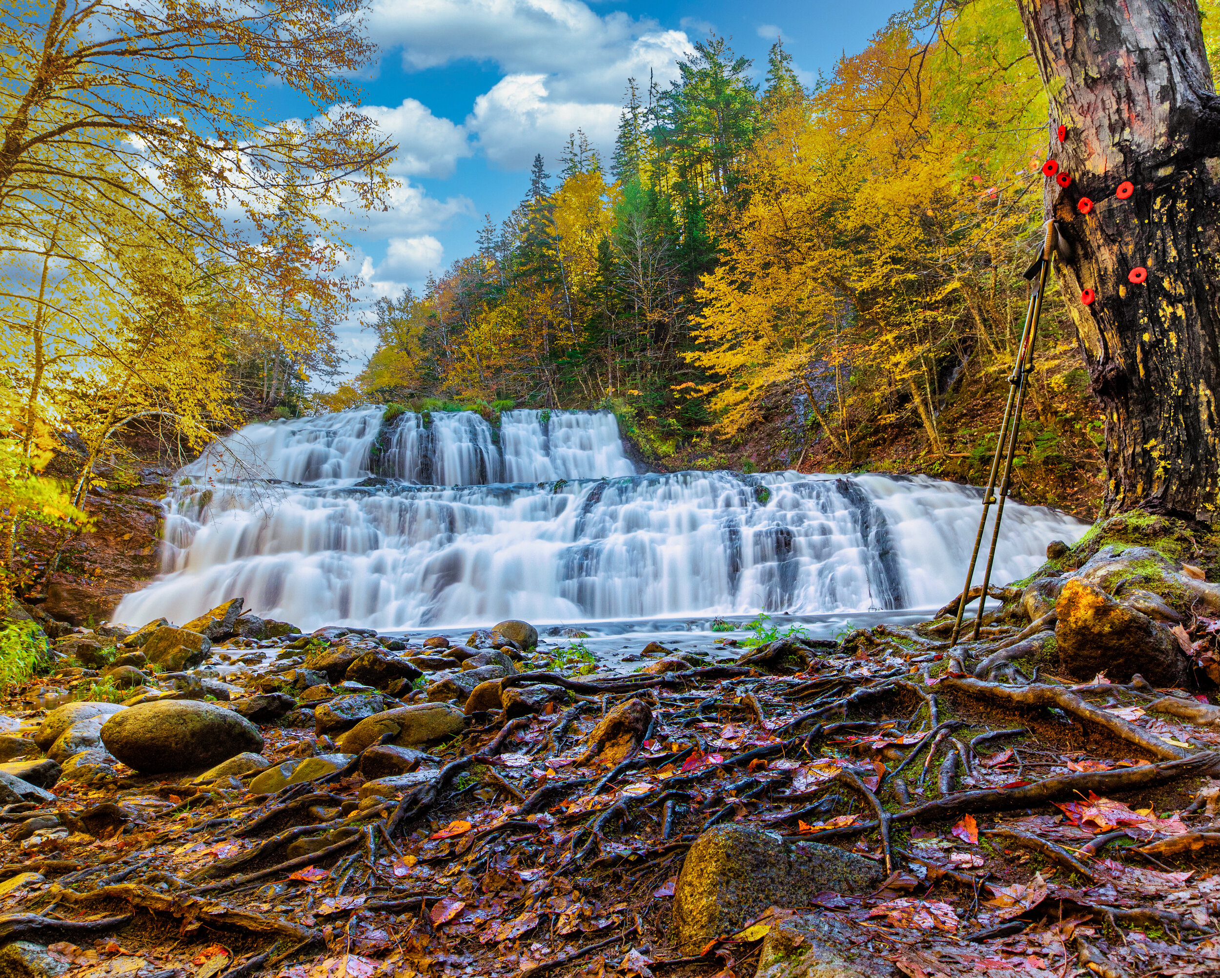 0L3A7926-Enhanced-Edit.jpg