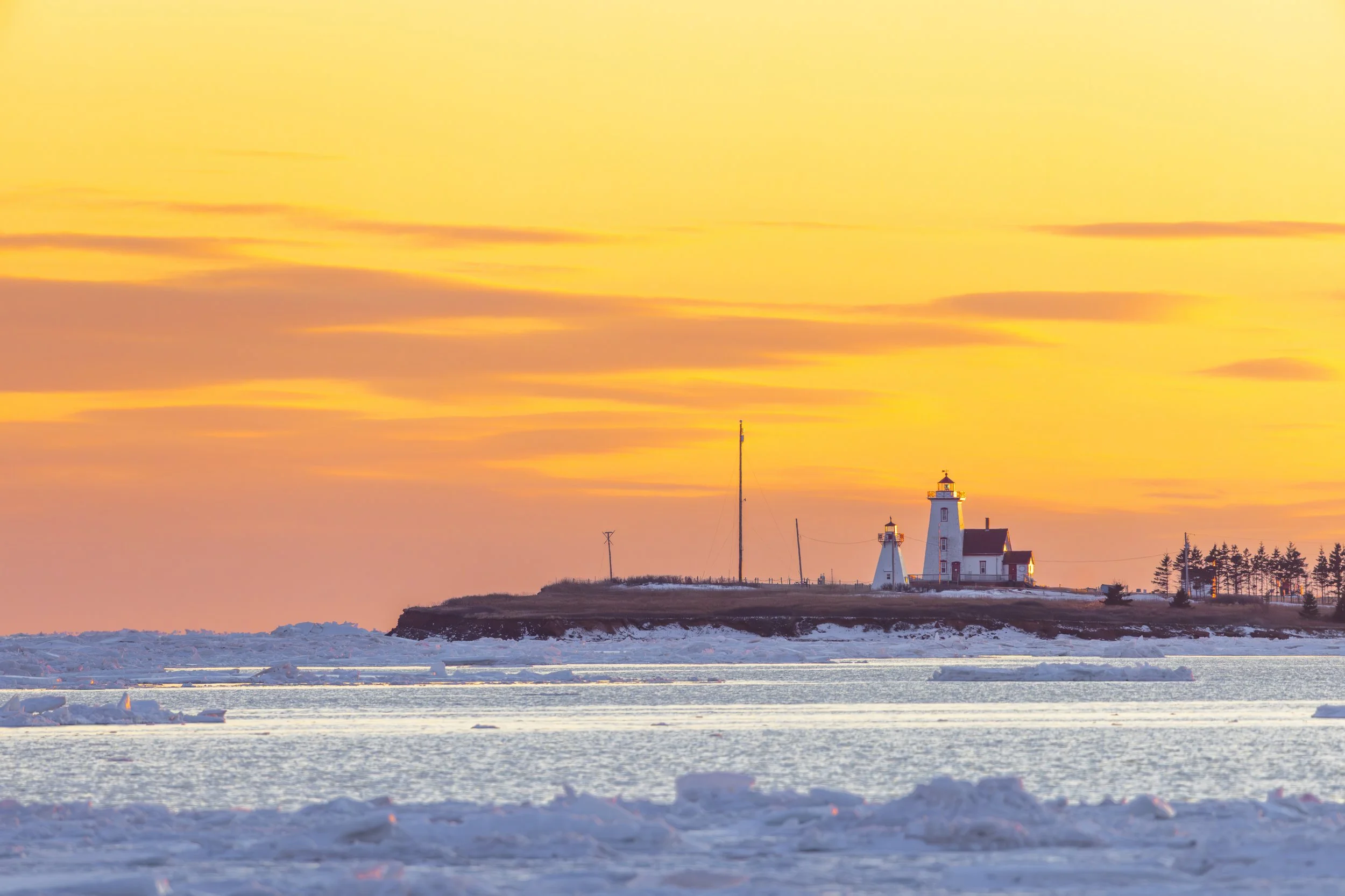 February Thumbnail.jpg