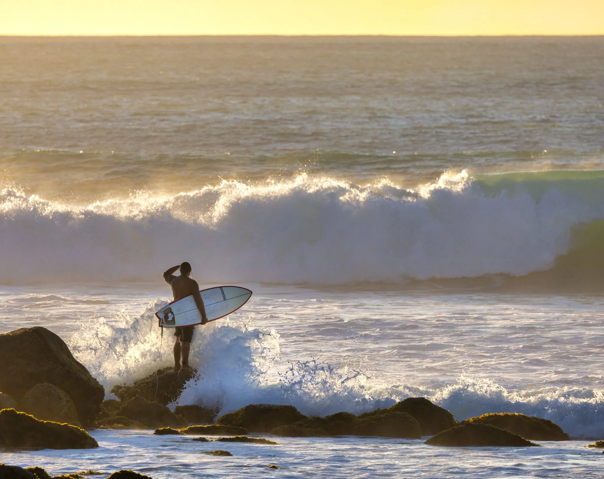 The Next Big Wave
New Zealand