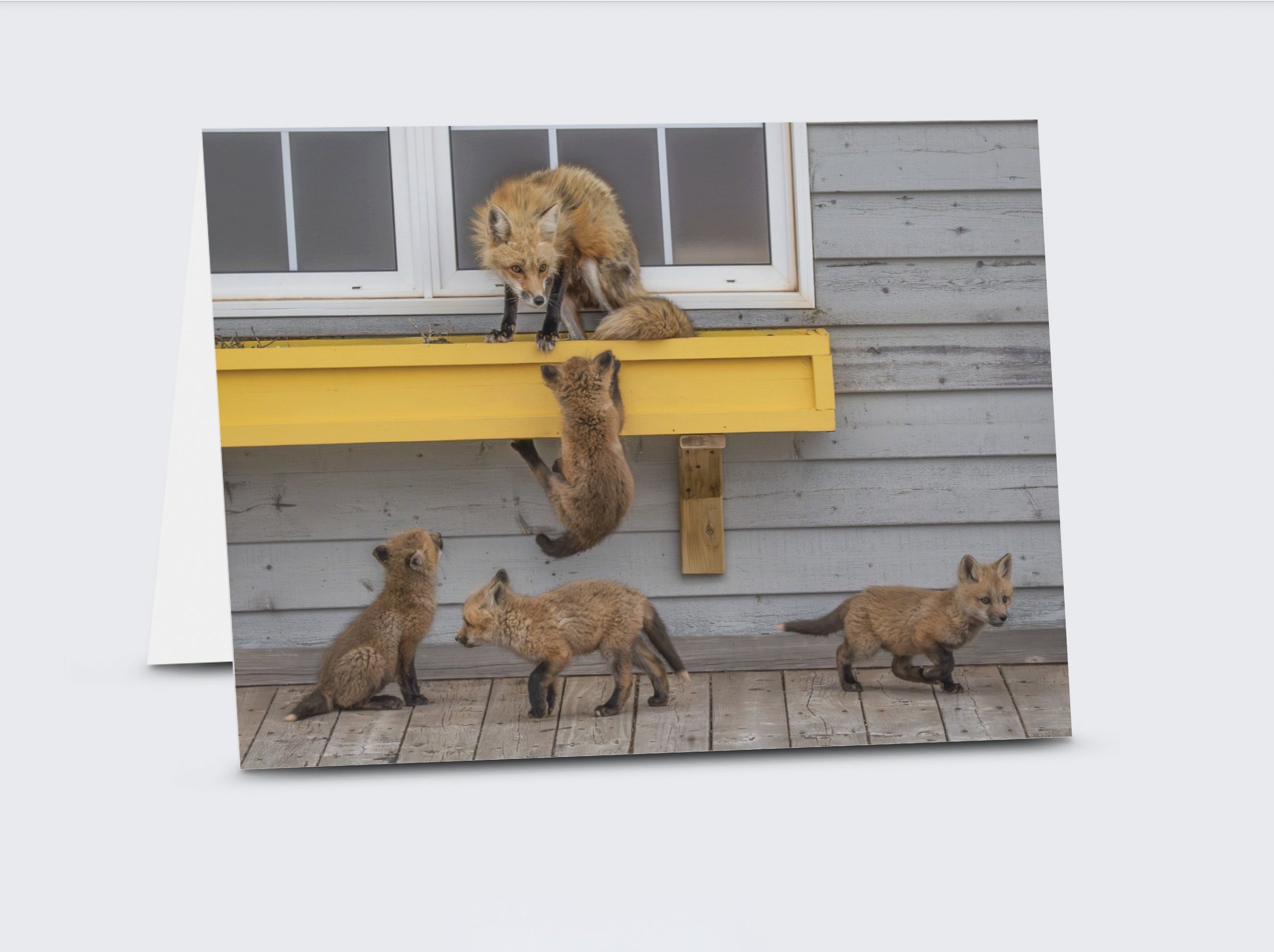 Feeding Time Preview.jpg