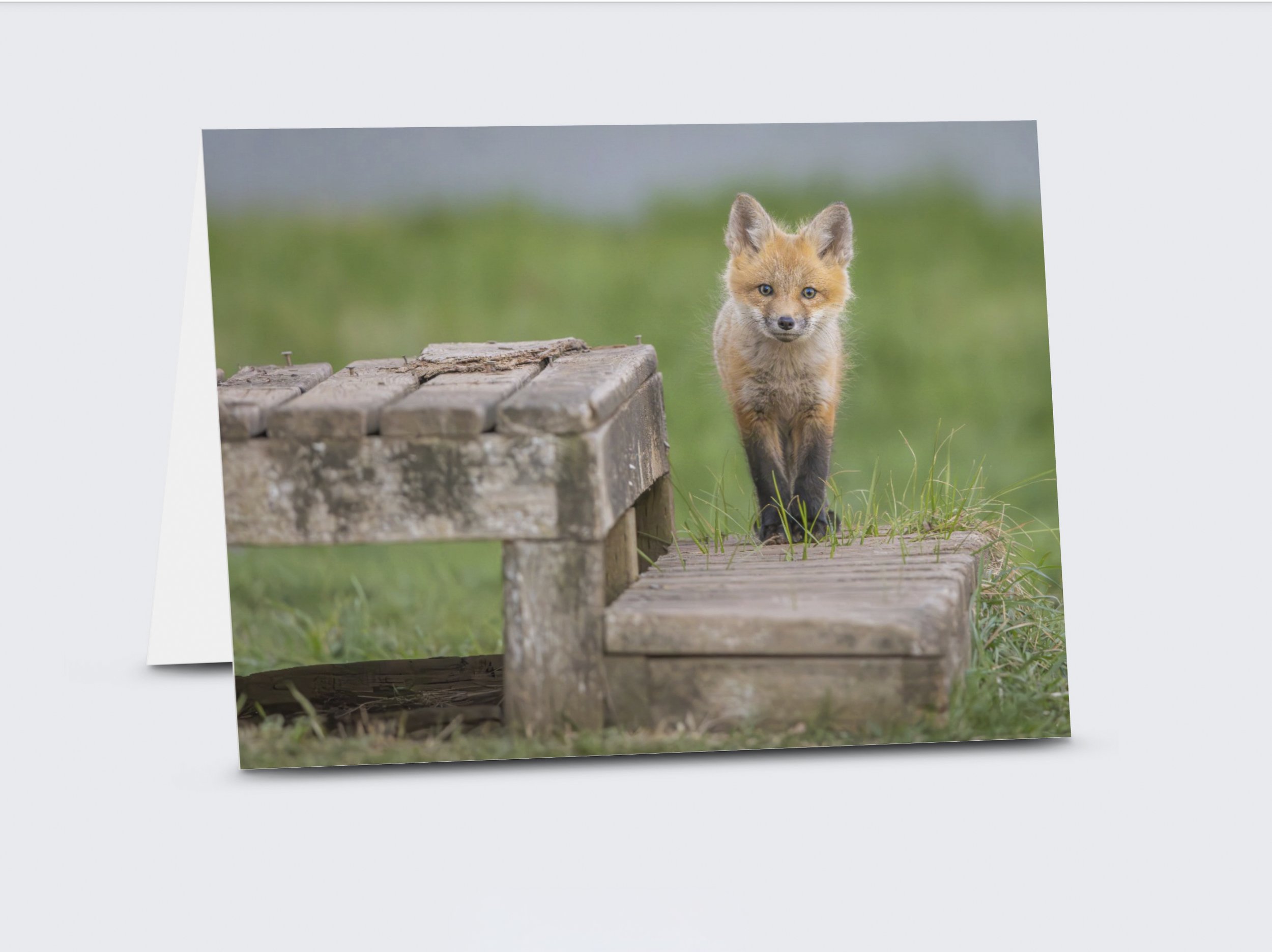 Home Sweet Home Preview.jpg