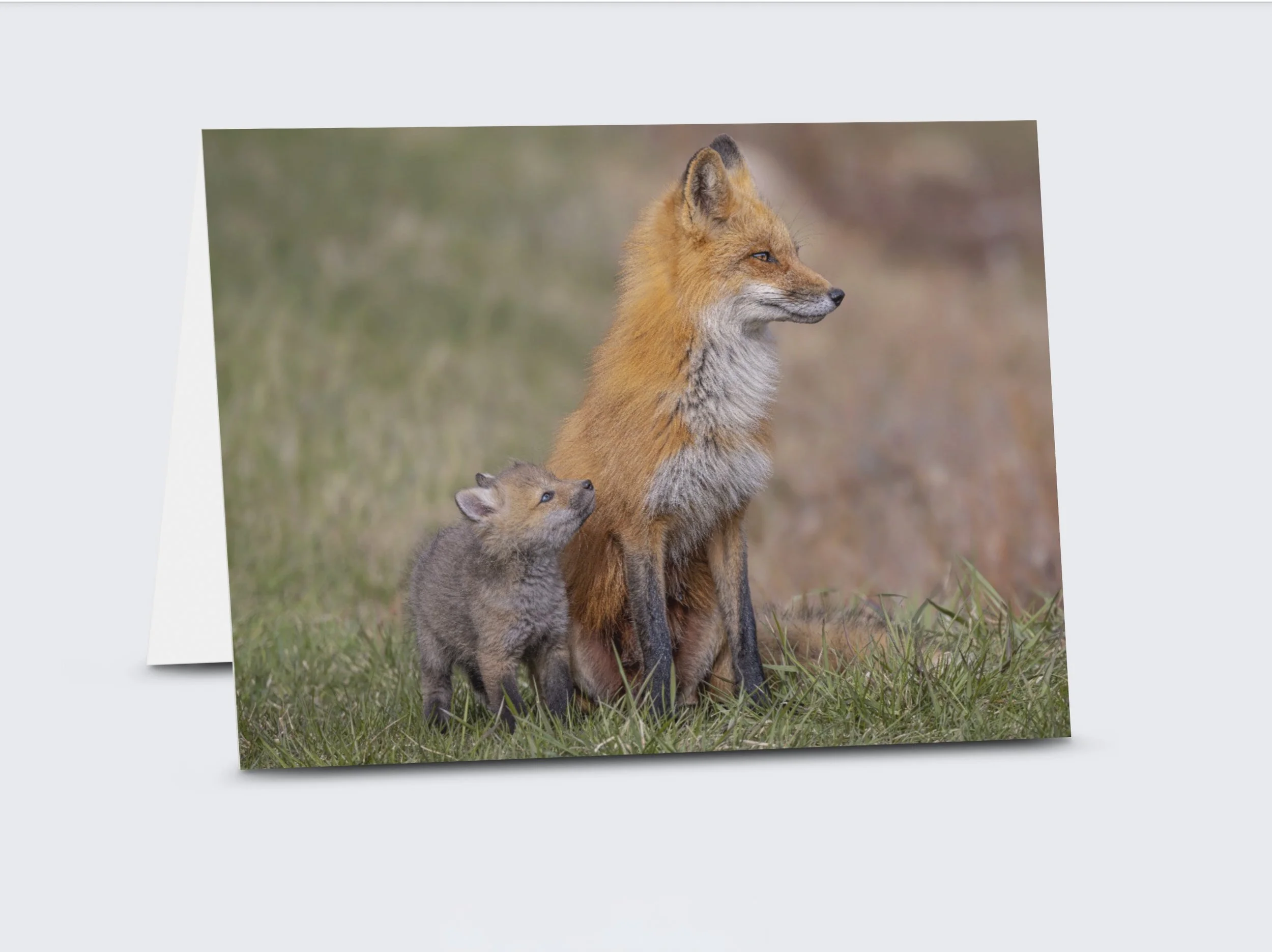 A Mother's Love Preview.jpg