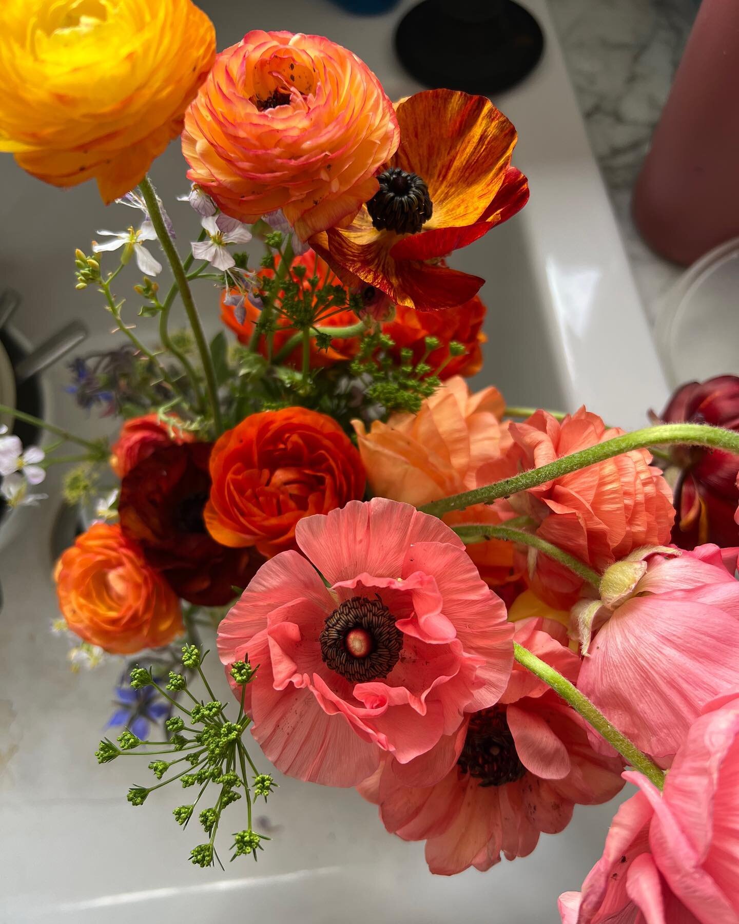 Kitchen sink flowers, cause this is the best photo I got right now. I&rsquo;m excited we get to use these blooms in our Moms day bouquets this week. If ya order on our shop by tmrw morn you can use the discount code ✨MOMSDAY23✨