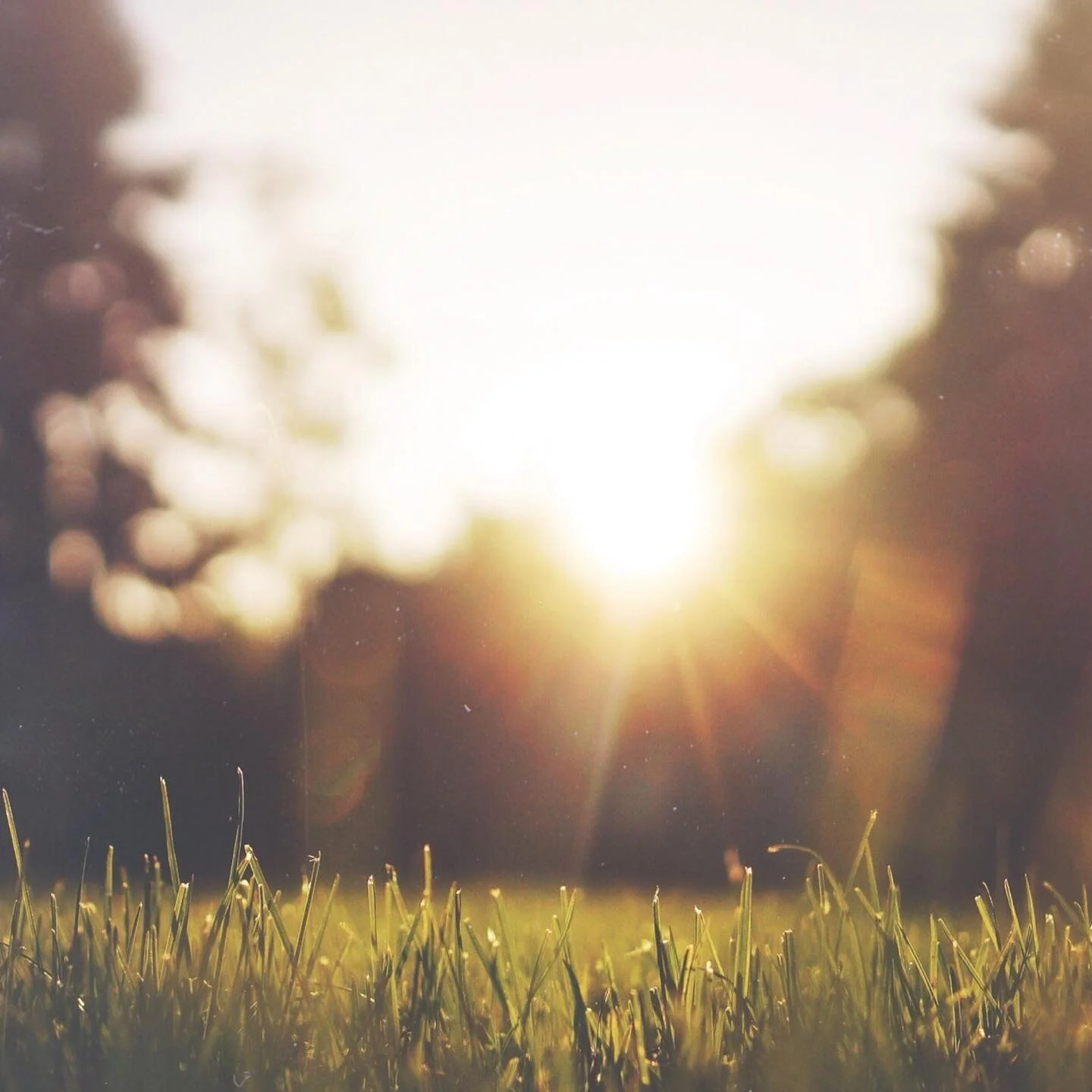Oh man. Daylight Savings.  Today&rsquo;s the day that details get us. I wake up and am not sure what time it is. This simple switch is easy for most people but I only change the stove clock before I get distracted. I circle back to the living room an
