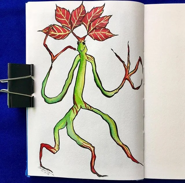 Poison Ivy Stick Bug