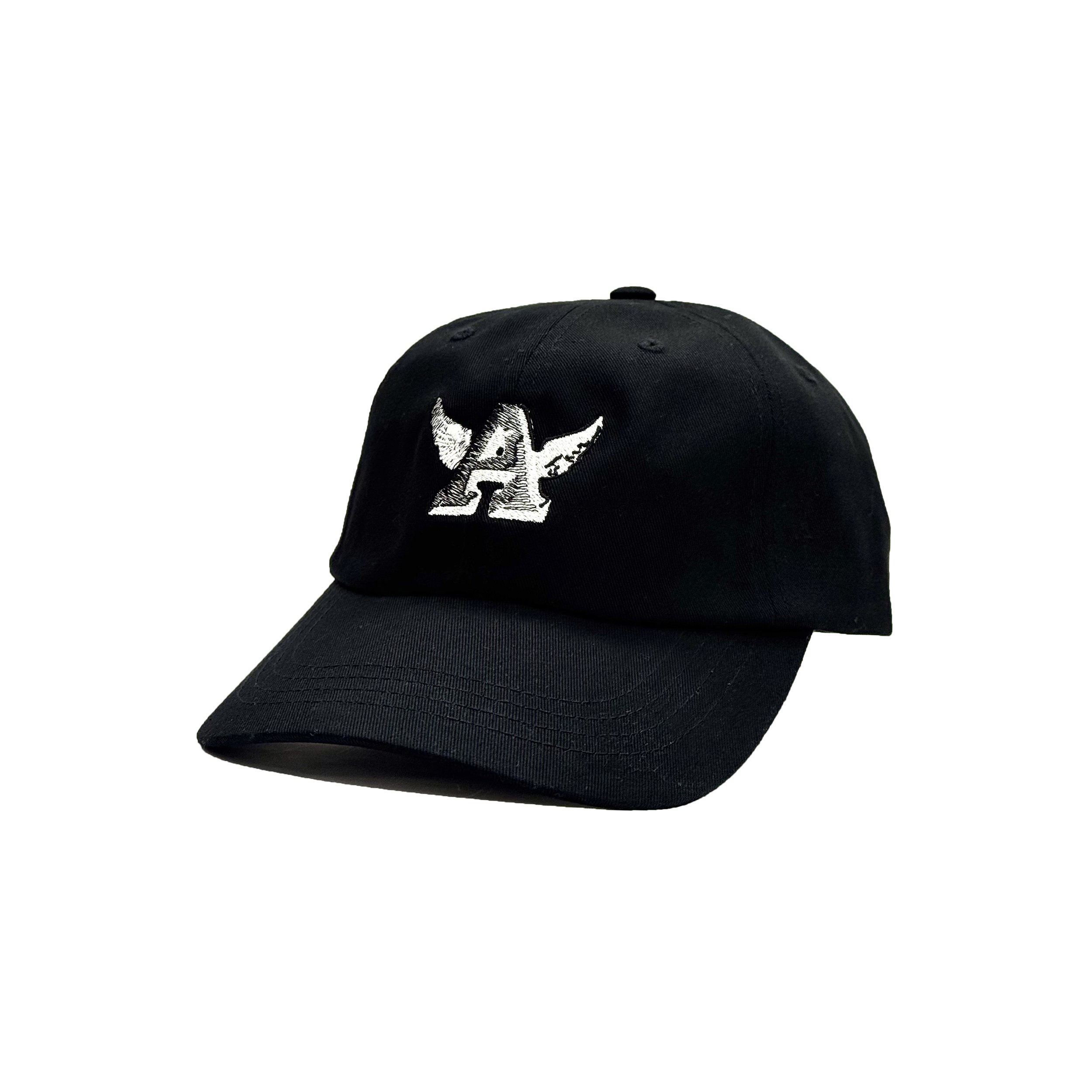 WIngs Hat