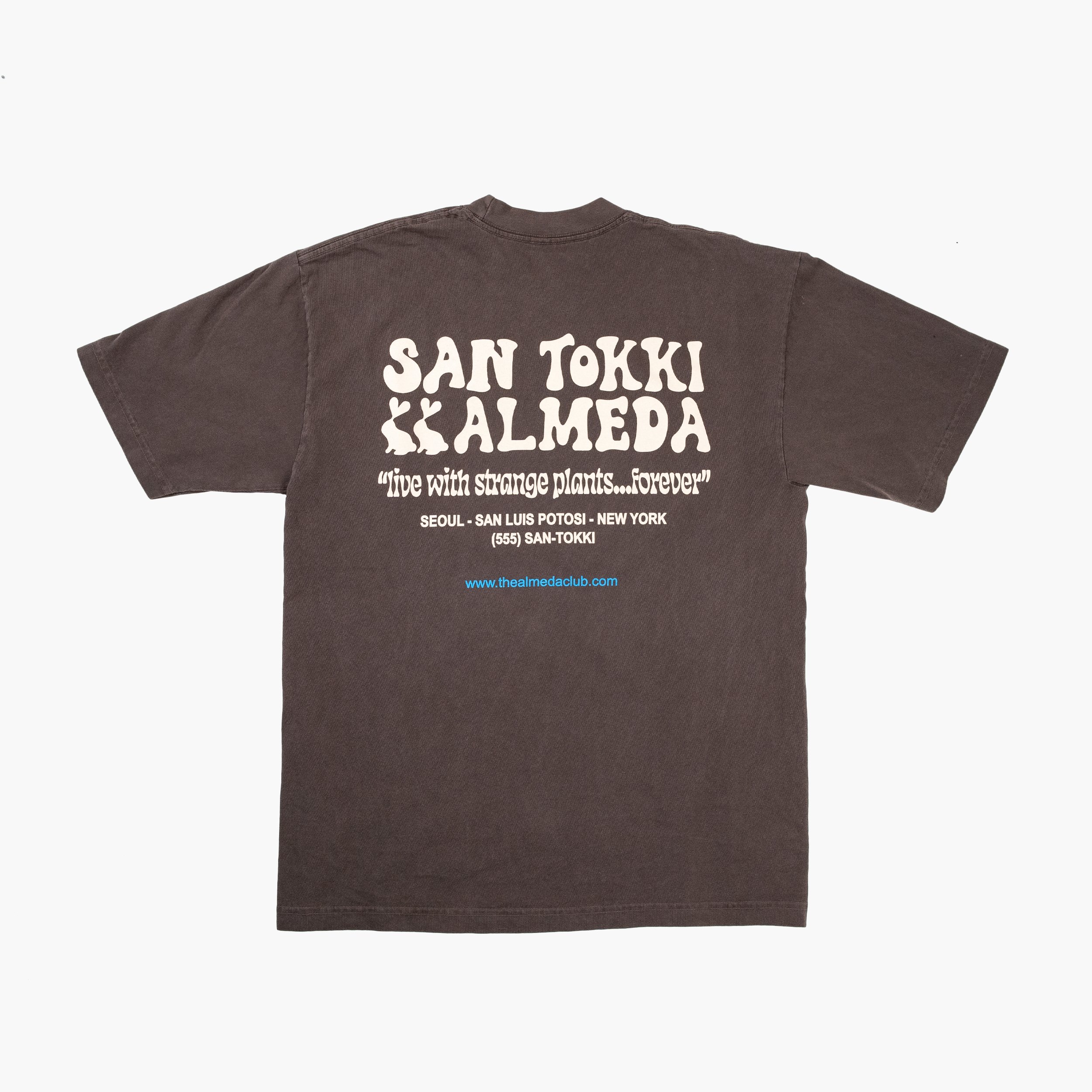 Almeda x San Tokki Brown Tee Back .jpg