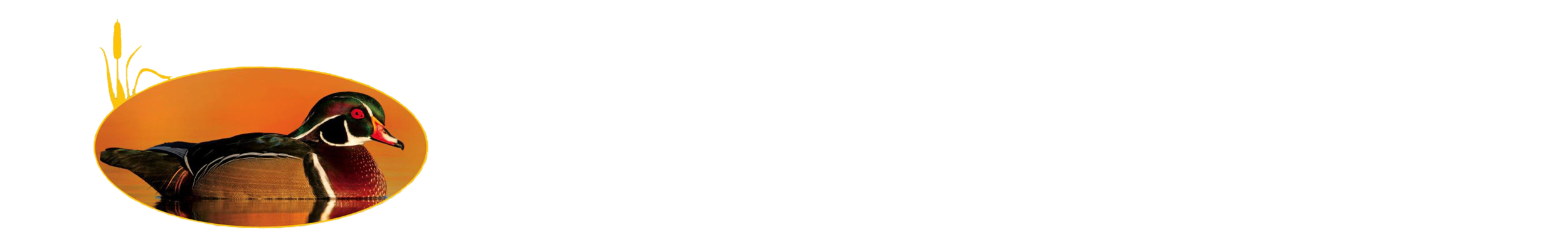 The Wooden Duck – Real Estate Brokerage Inc.