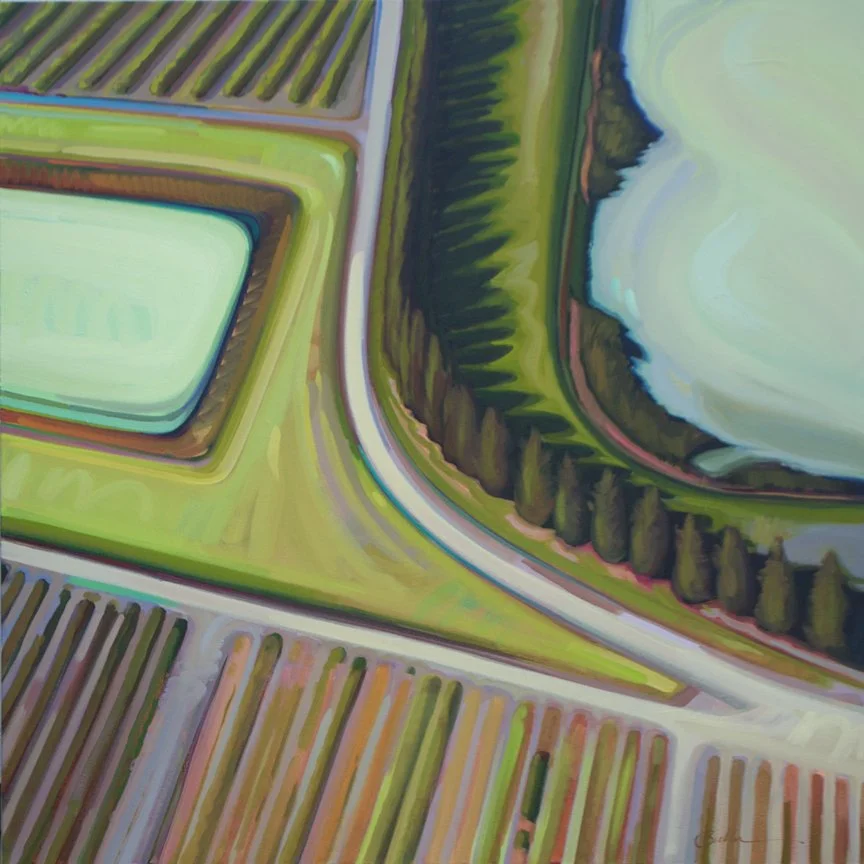 BULLER_VineyardsAndPonds.36x36.web.jpg