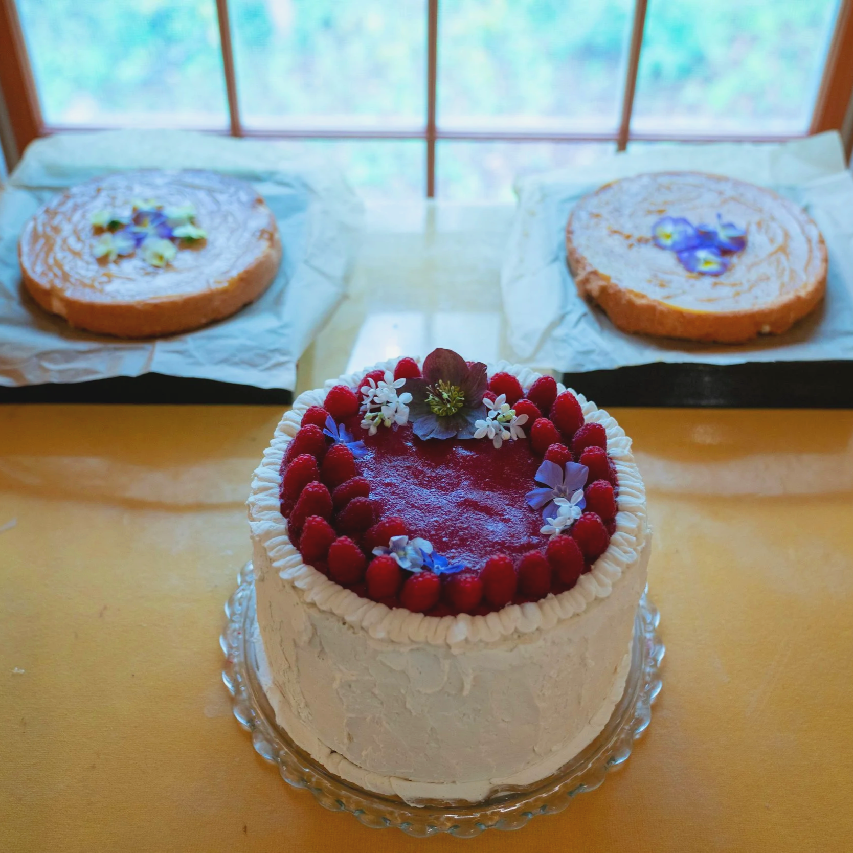 IMG_0323.png