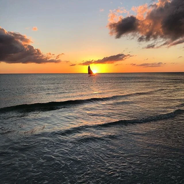 Florida is pretty dope.
#floridaman