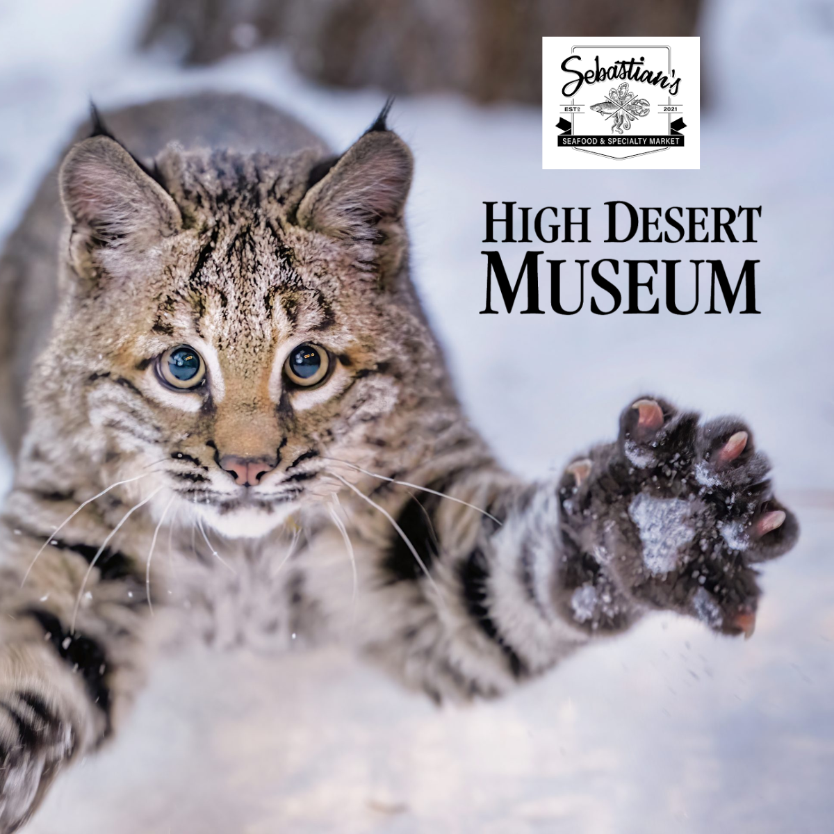 How Sebastian's Seafood Supported Wildlife and Education Through Everyday Payments