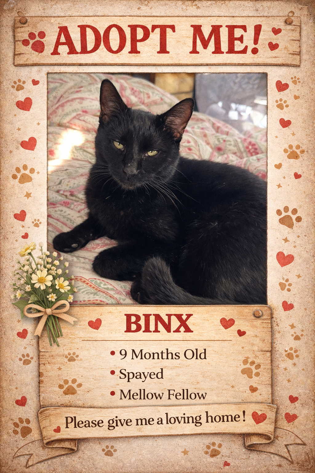 Binx