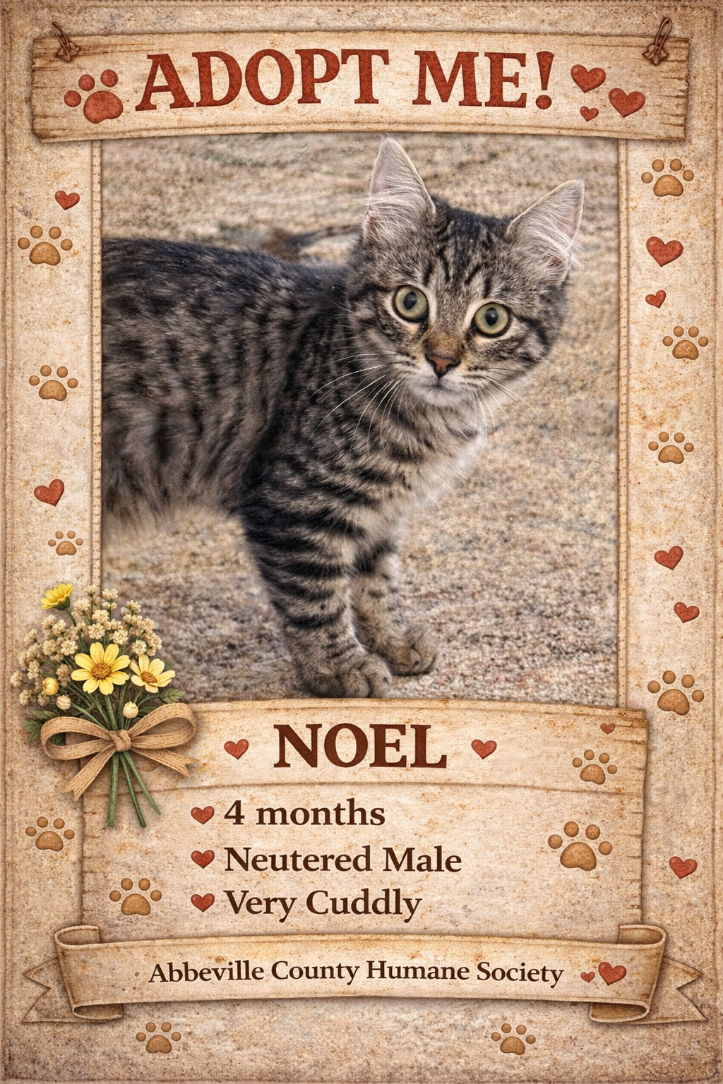Noel