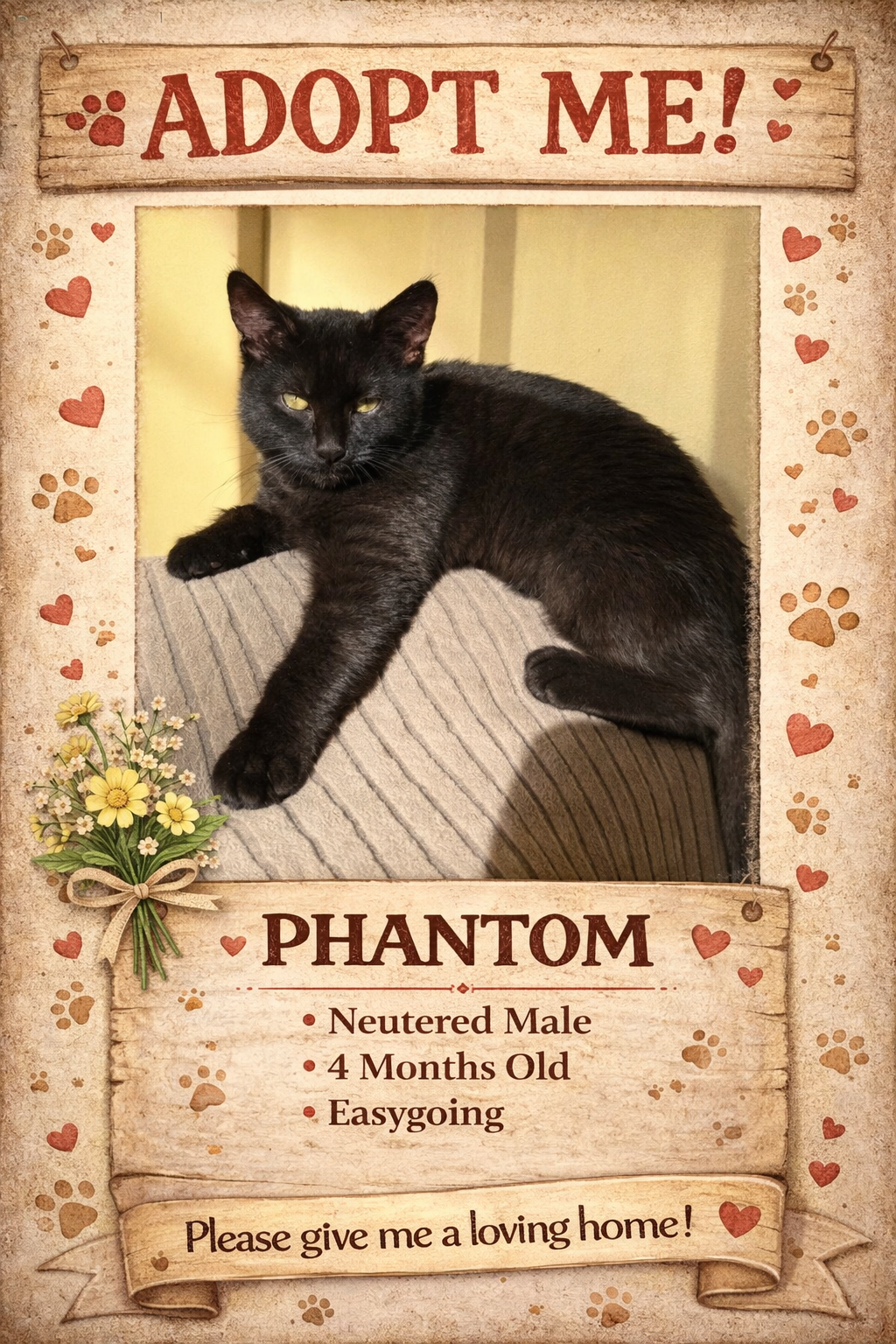 Phantom