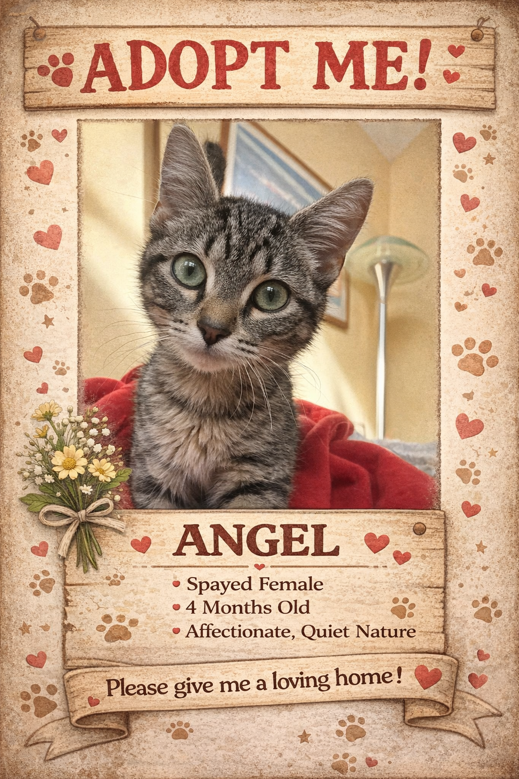 Angel, spayed female, four months old, affectionate and quiet