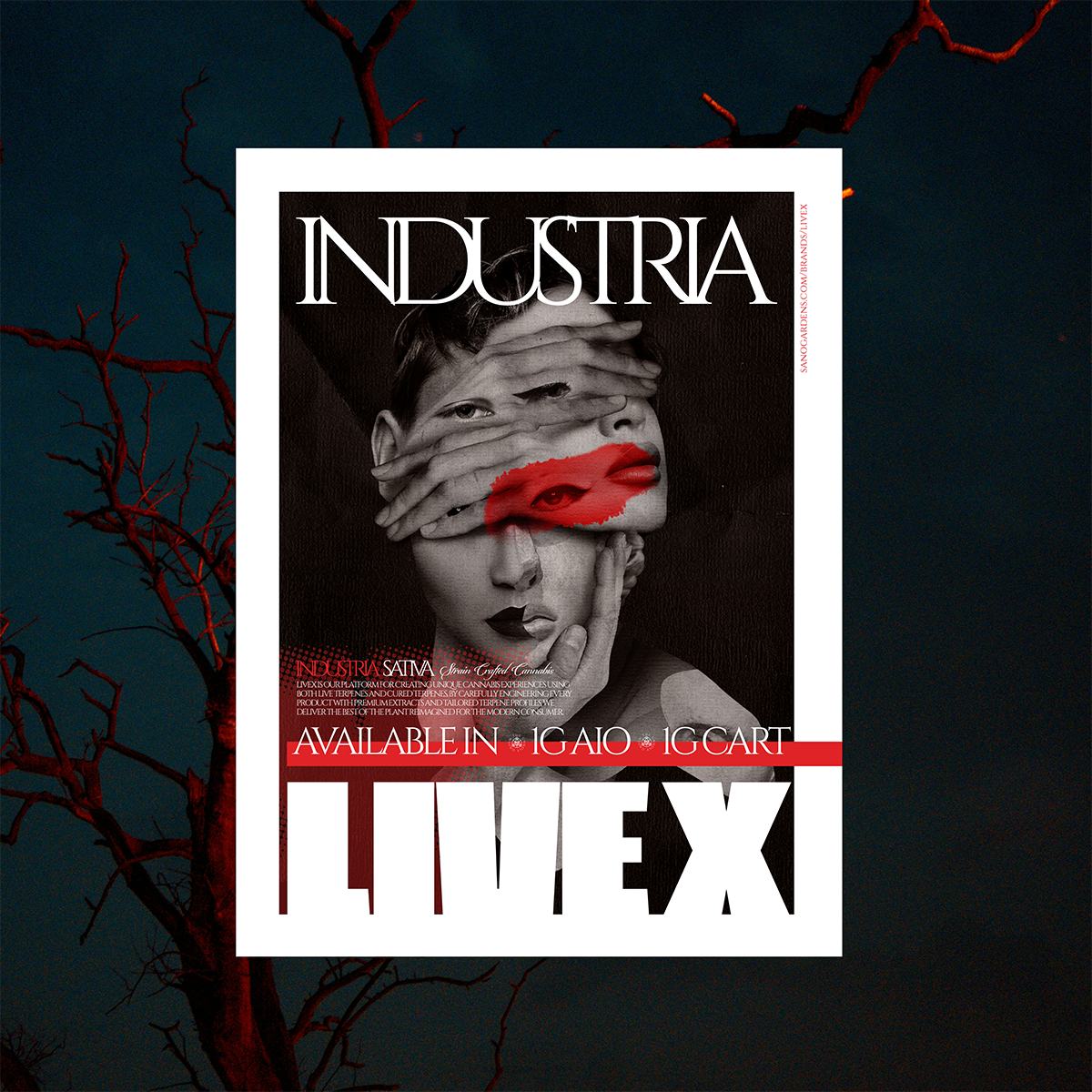 Live X Sativa Poster I side.png