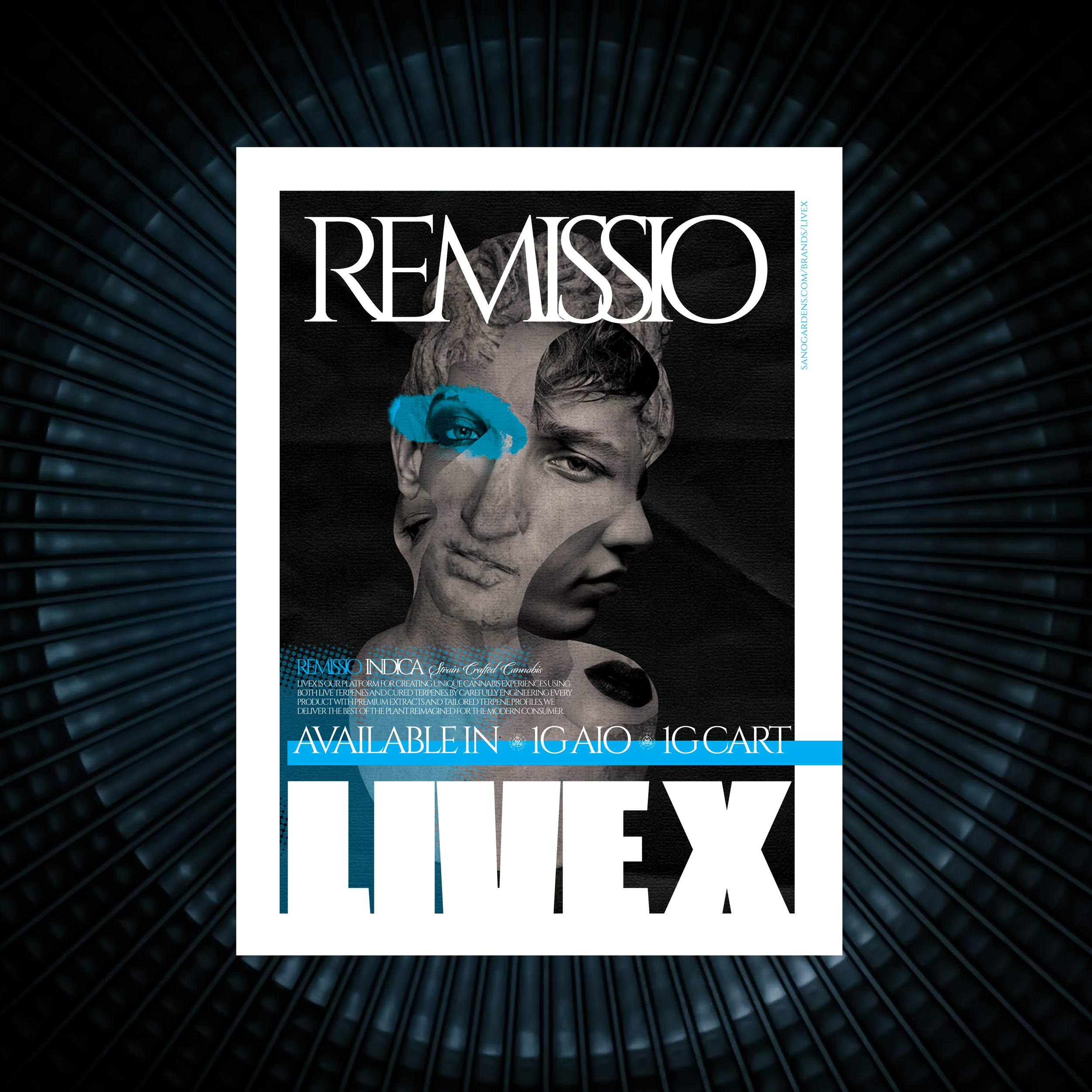 Live X Indica Poster R side.png