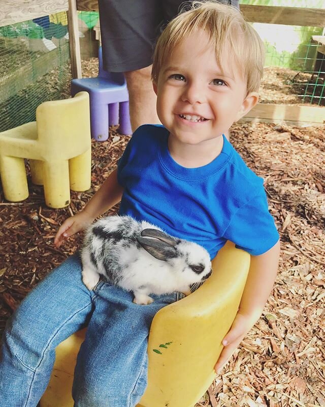 Henry has been asking to go to the farm, so to the farm we went! Bunnies were a hit... and as always, goats are Henry&rsquo;s favorite to see anywhere we go!