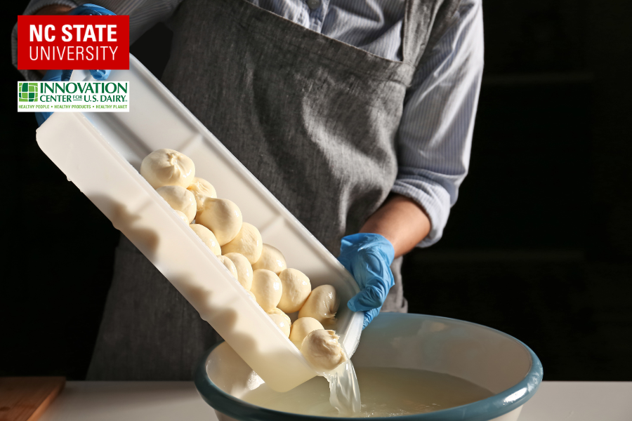 Food Safety Basics for Artisan Cheesemakers Curriculum Now Available