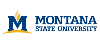Montana State University