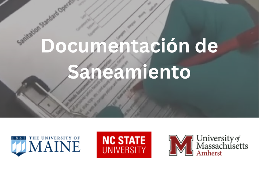 Documentación de Saneamiento