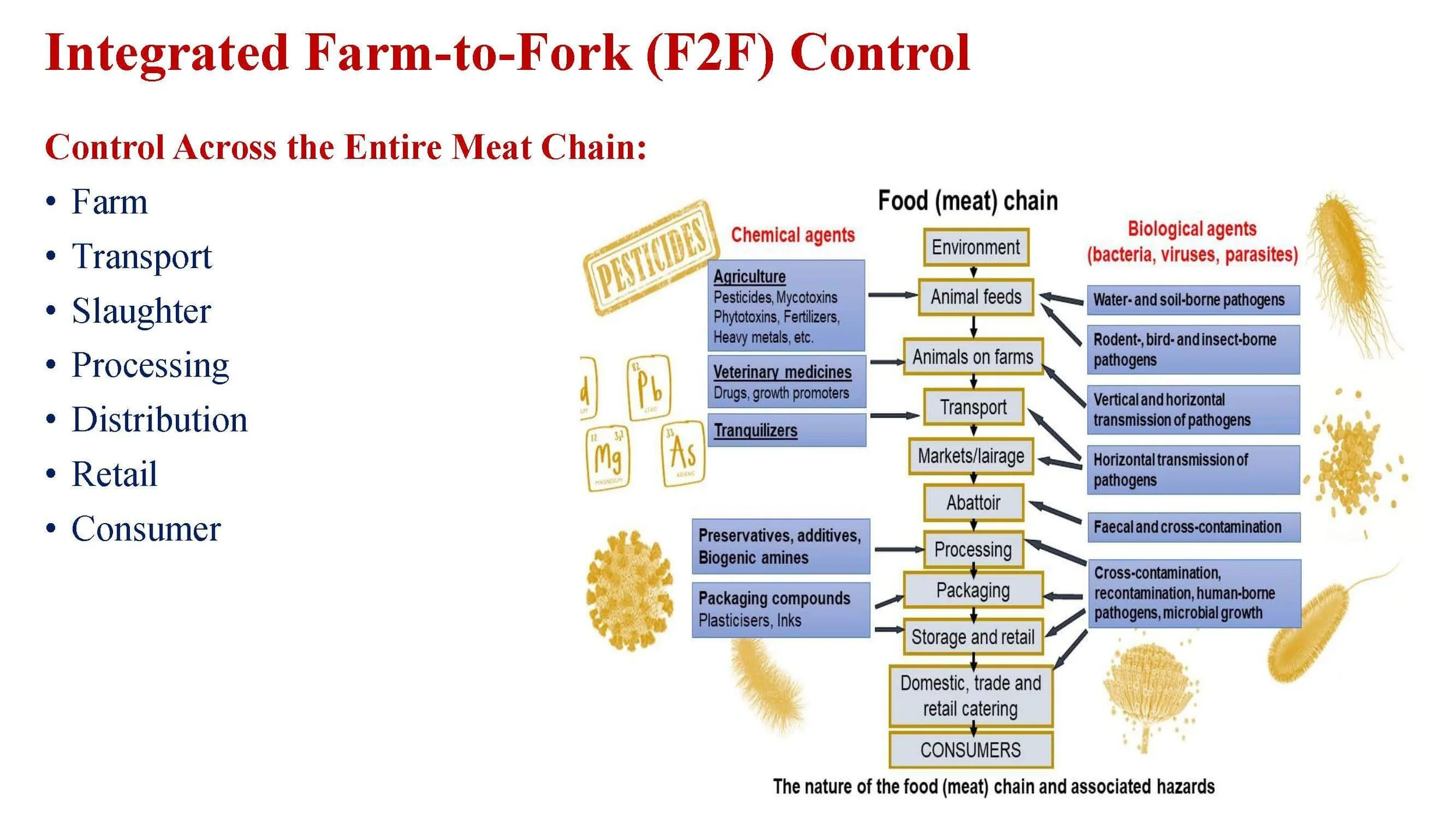 MSAS-F2F course promotion presentation_Page_2.jpg