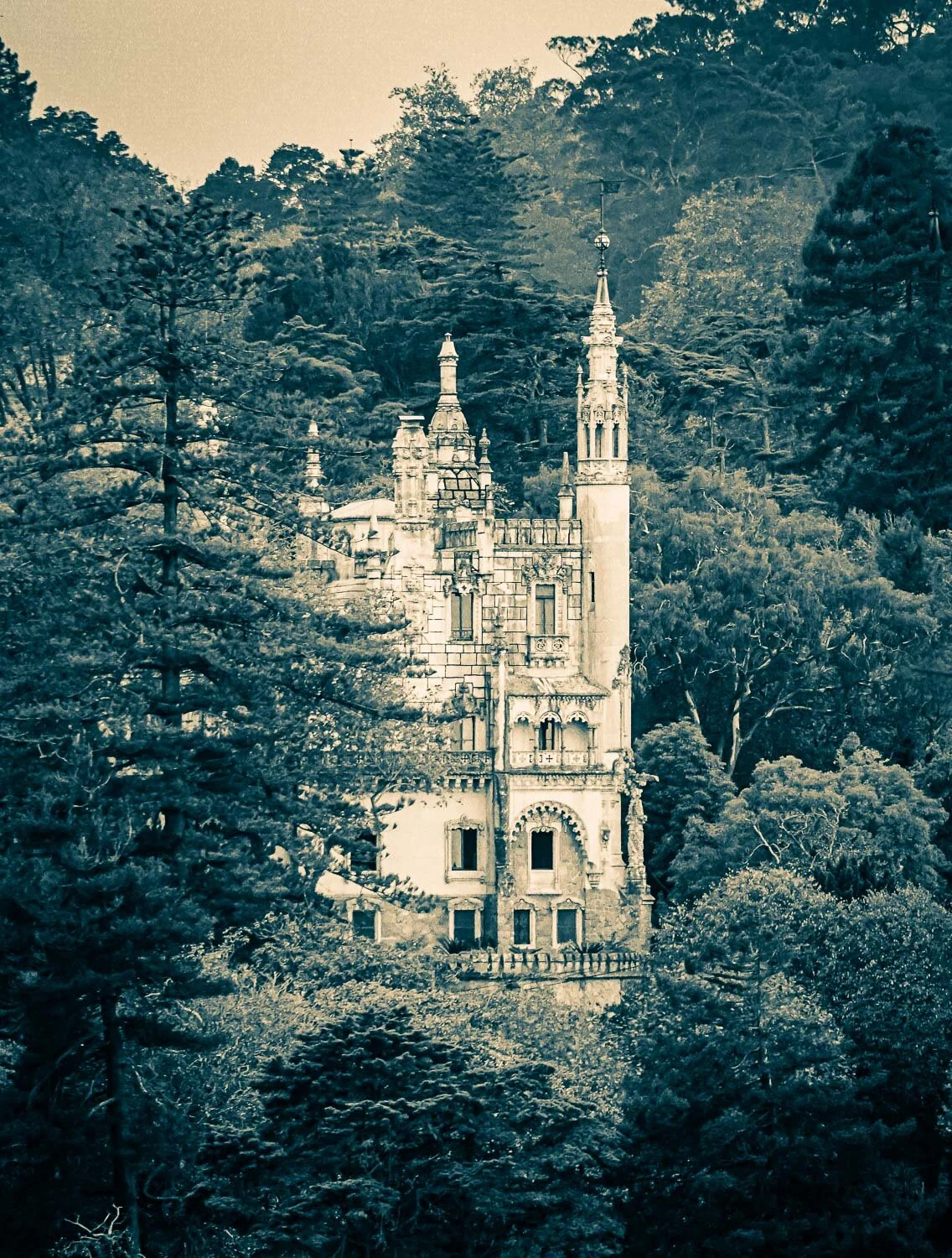 cyanotype 9.jpg