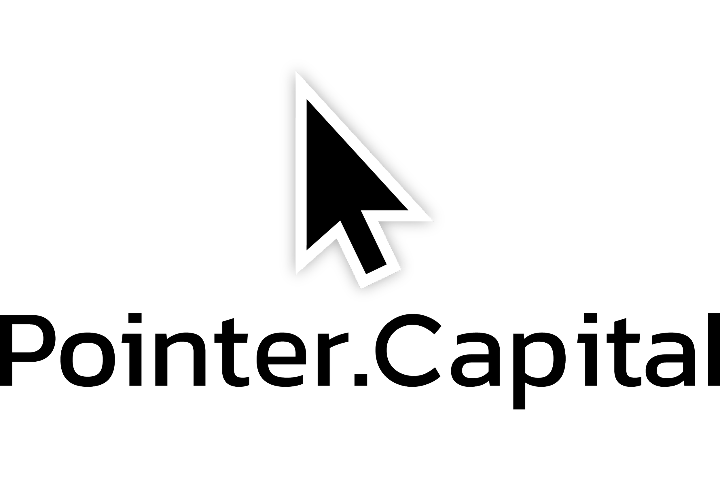 Logo_NGS26-Sponsor_Pointer-Capital.png