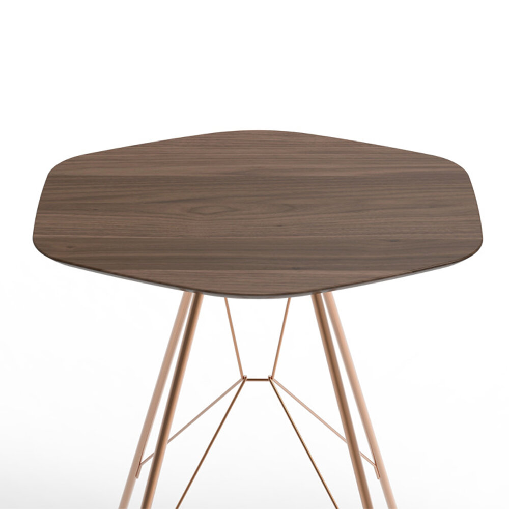 EMIL_TABLE_ZANOTTTA2.jpg