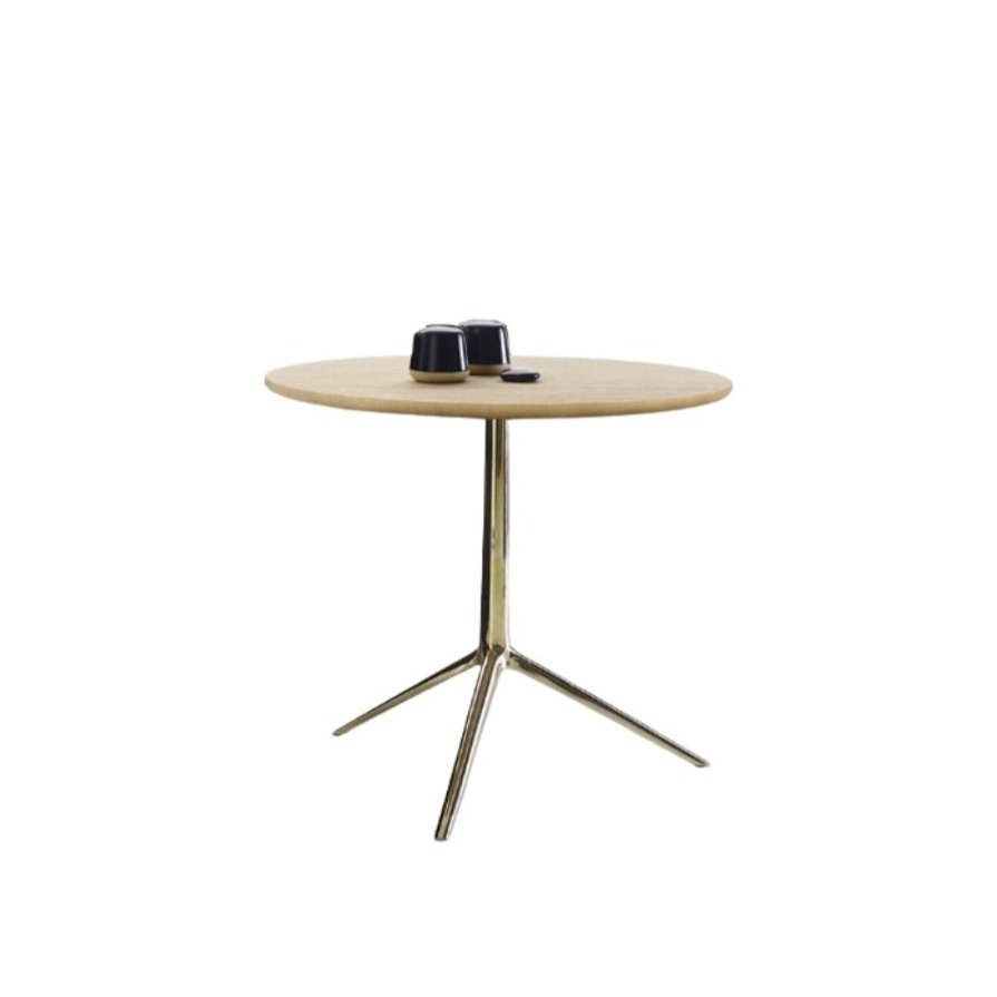 ARQ.+ROSA+MARI%CC%81A+CA%CC%81RDENAS+%2813%29.jpg