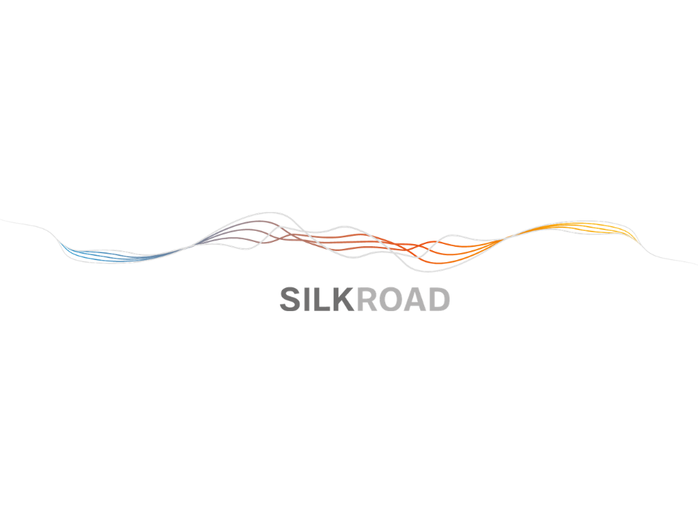 Colorful abstract waves above the text 'SLKROAD' on a gray background.