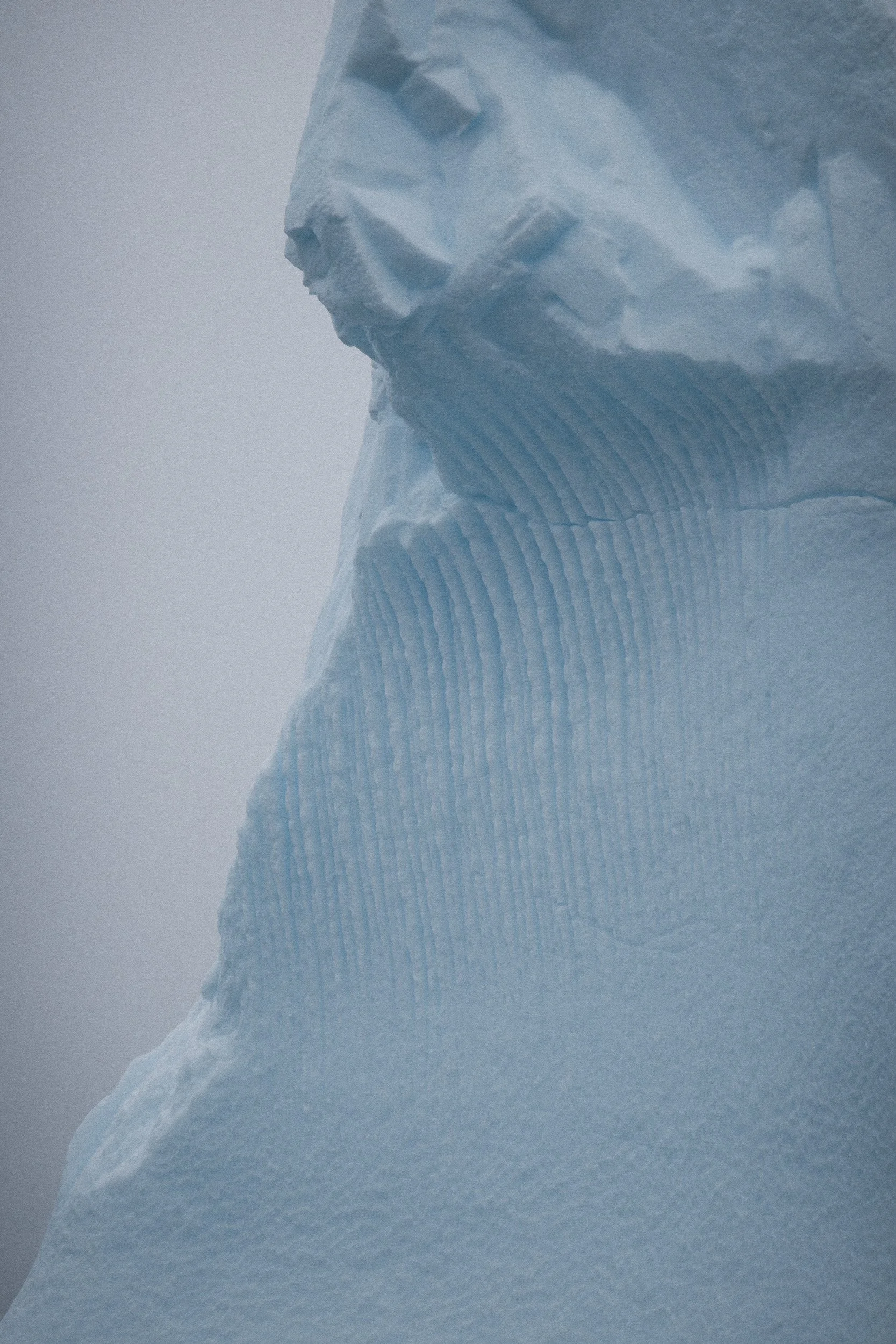 2023-EJK-Antarctica-Web-71.jpg