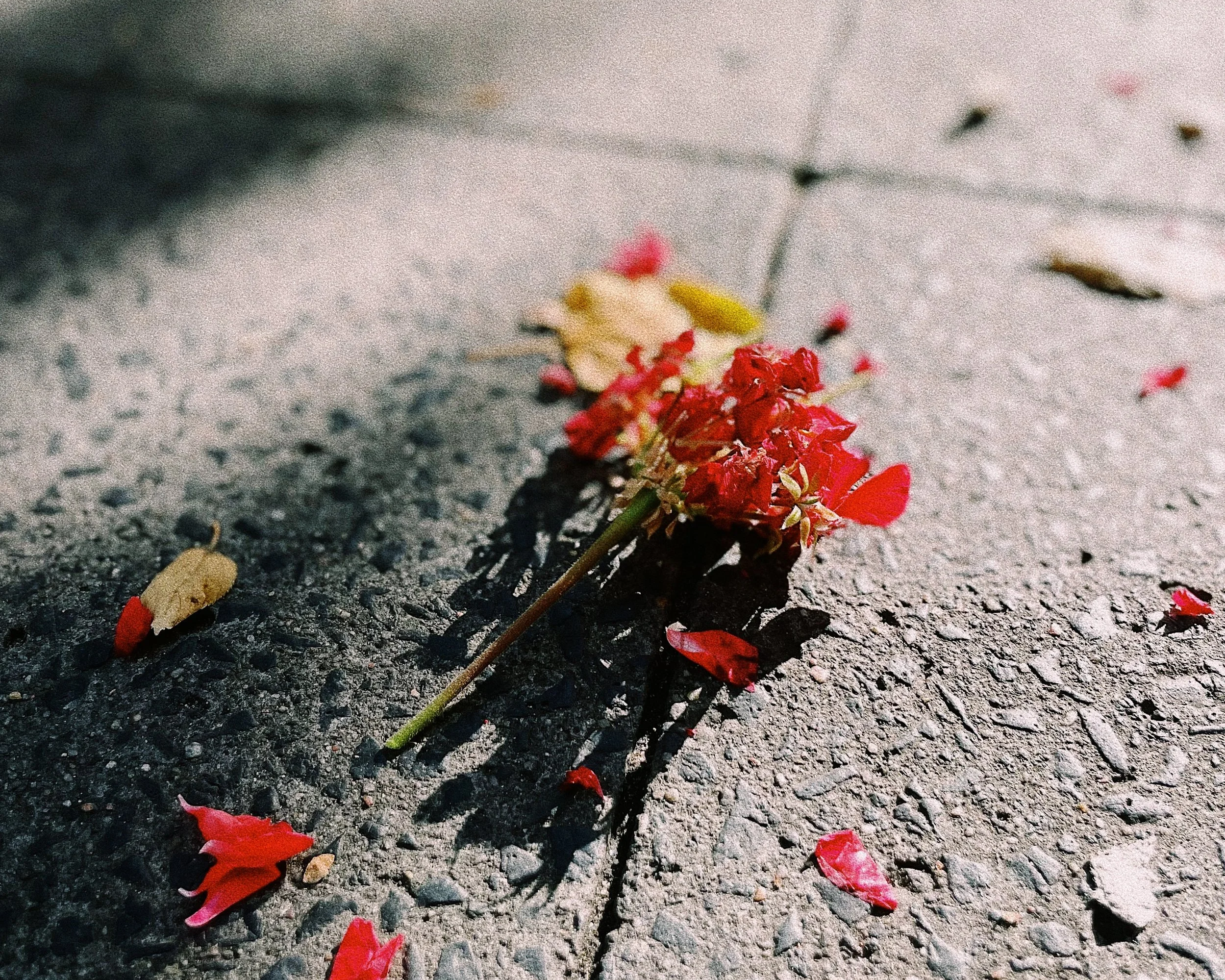 O trabalho do artista