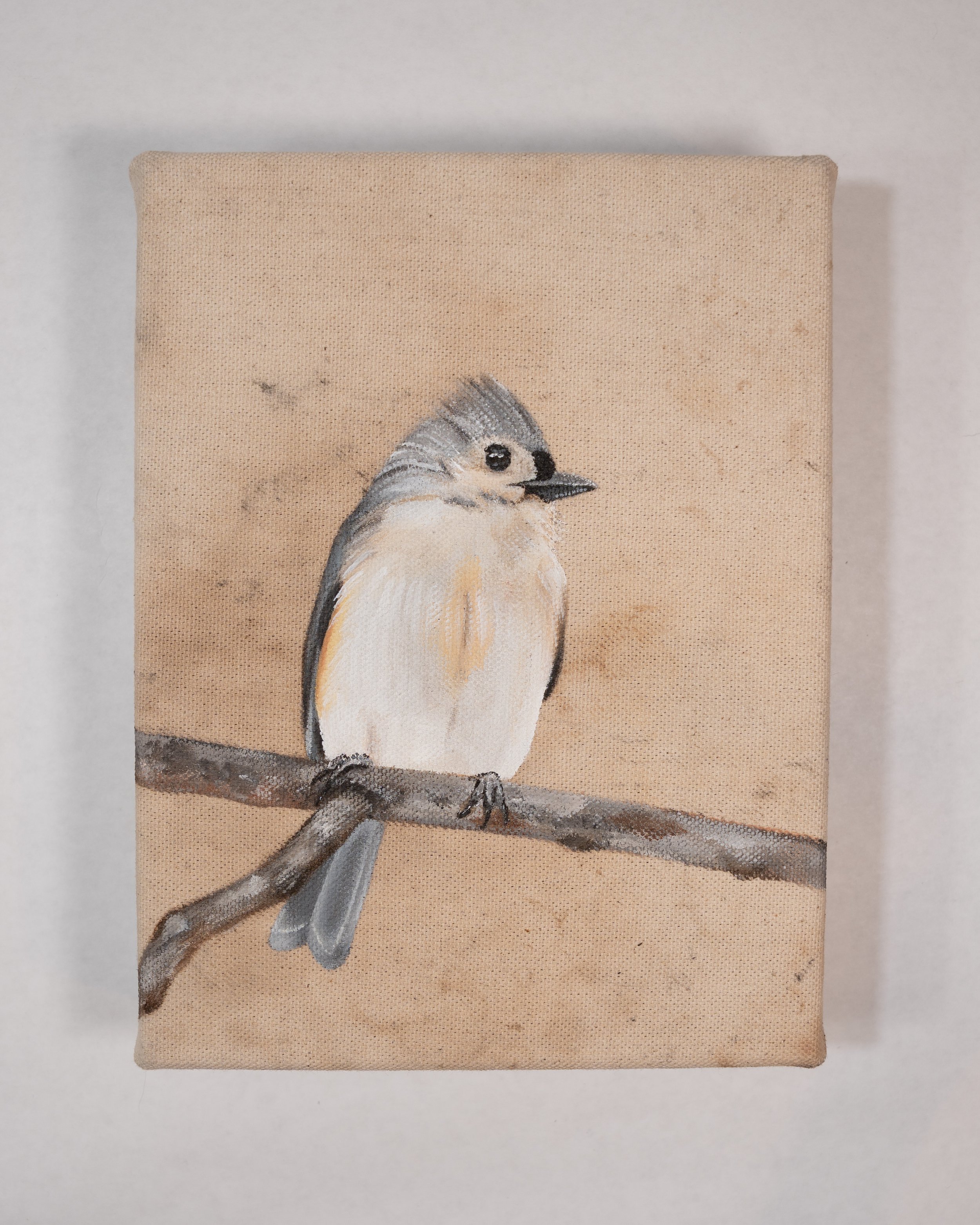 MorganArt_03.26_40_Titmouse2.jpg