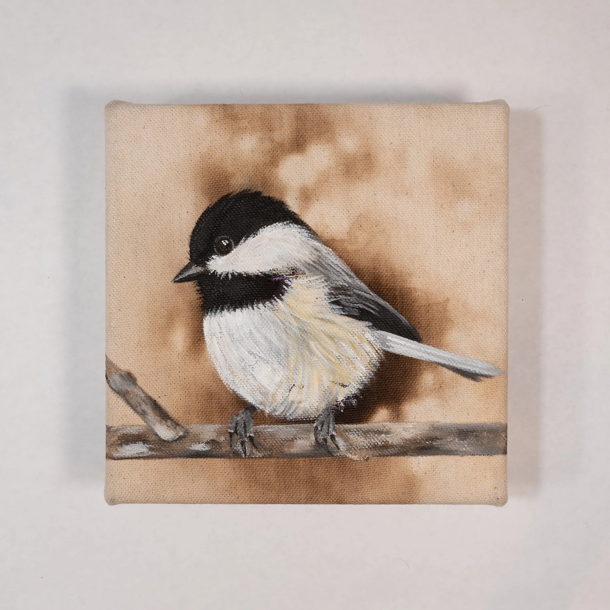 MorganArt_03.26_08_Chicadee2.jpg