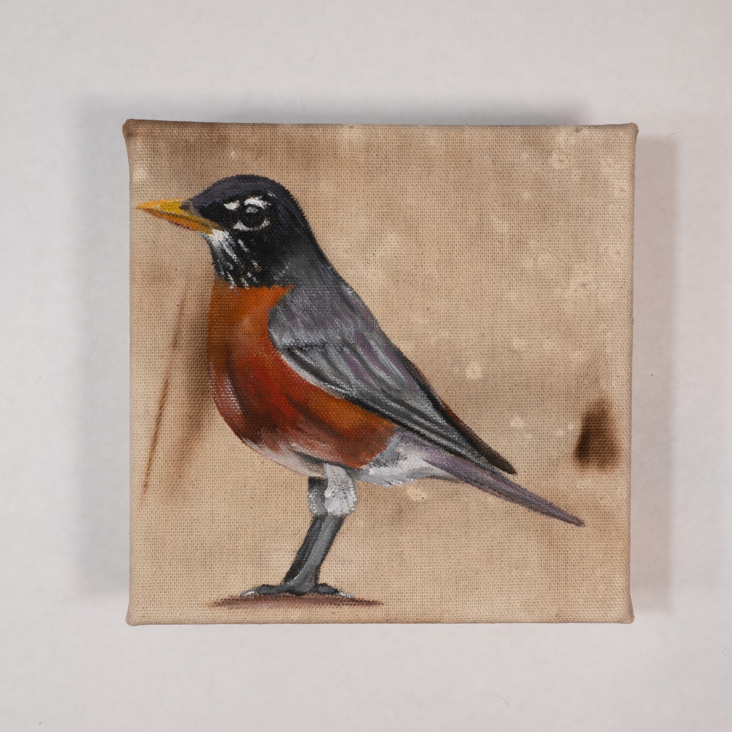 MorganArt_03.26_12_Robin2.jpg