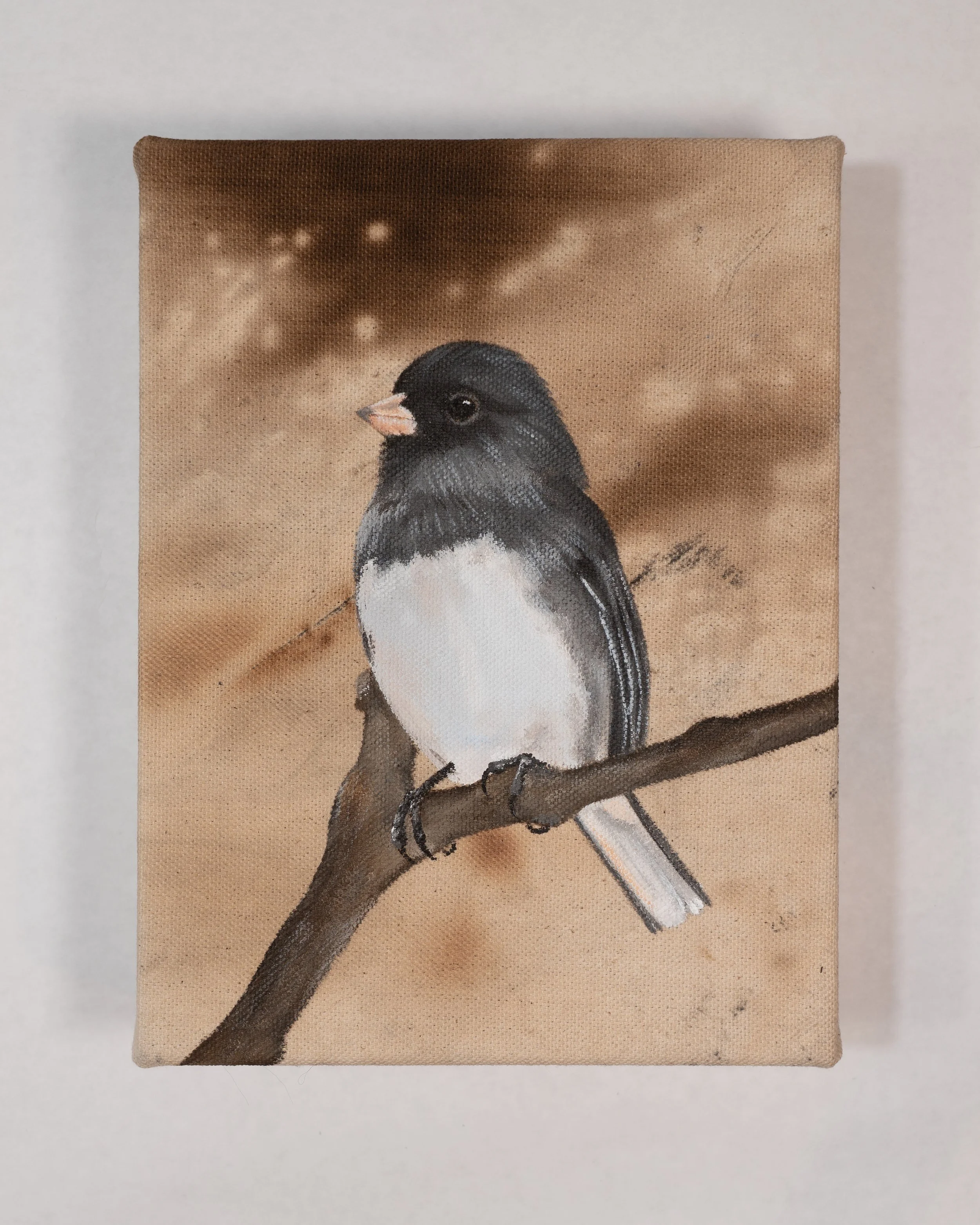 MorganArt_03.26_34_Junco2.jpg