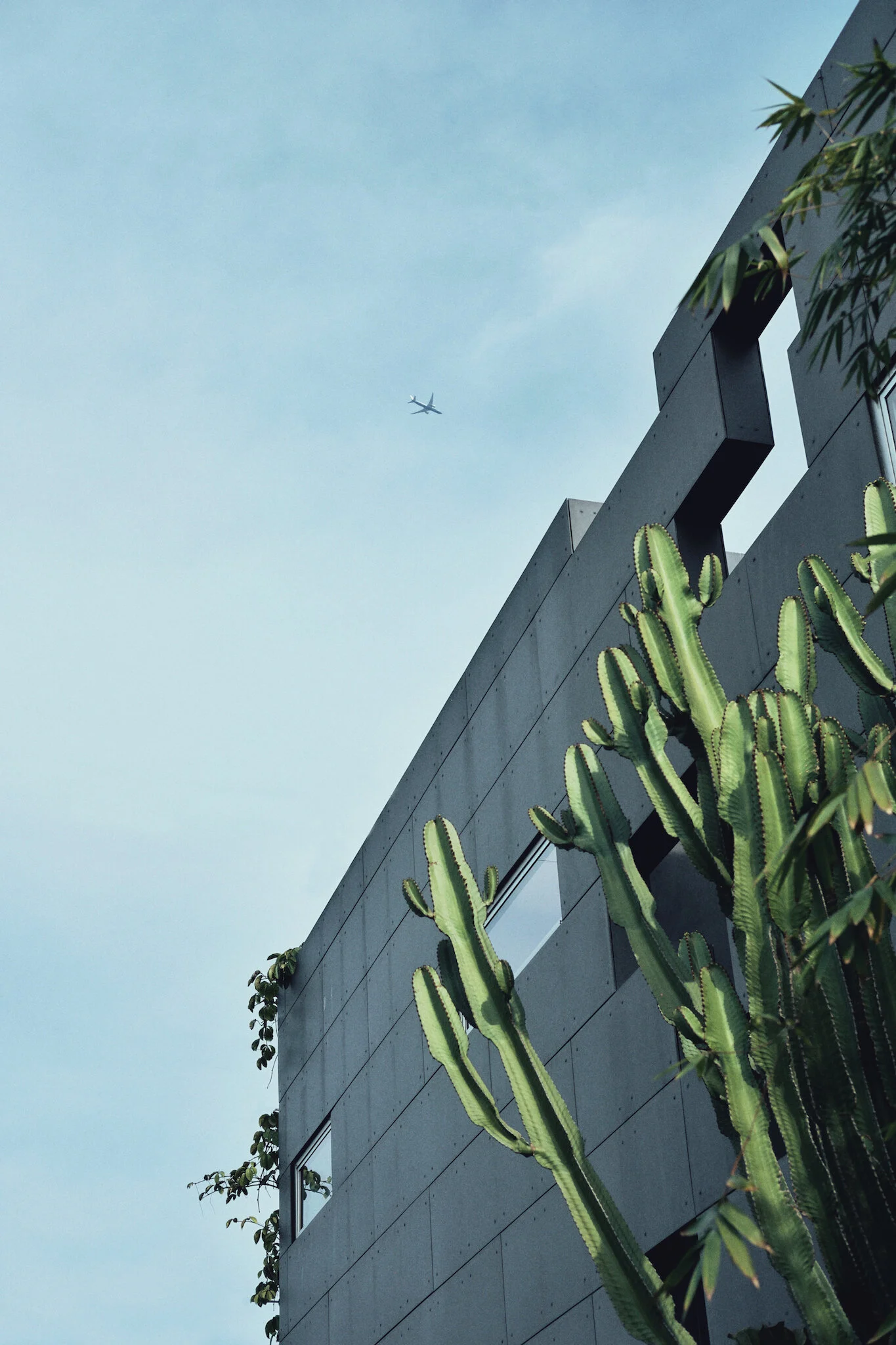 Mile High Club - FOR WEB.jpg