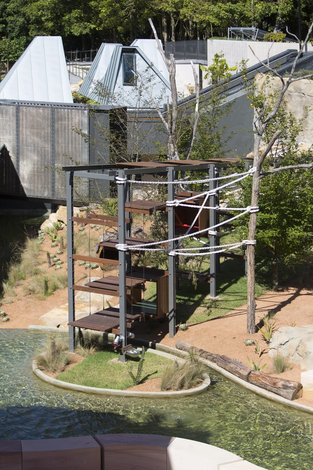 HillThalis_JILA_PurposeAgency_TarongaZoo_LemurAdventure_D185.jpg