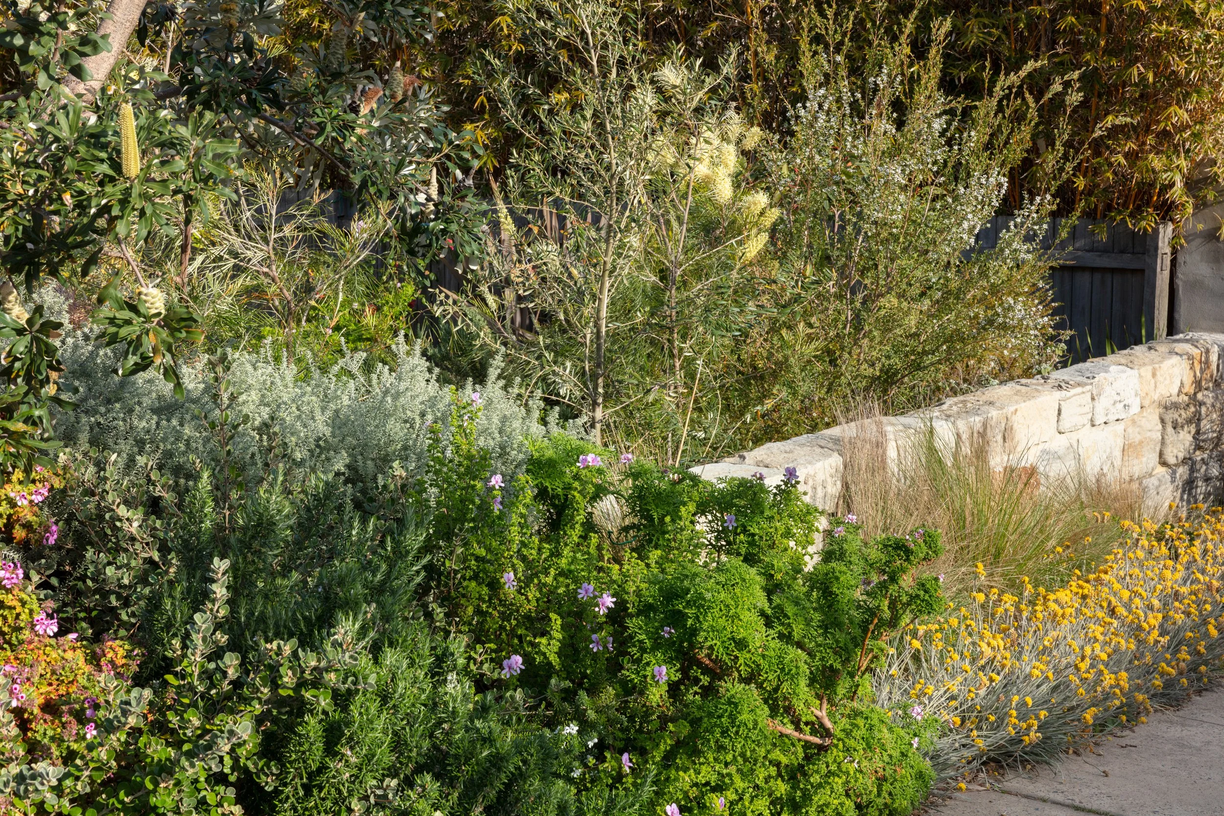 04-ClifftopGarden-DiannaSnape.jpg
